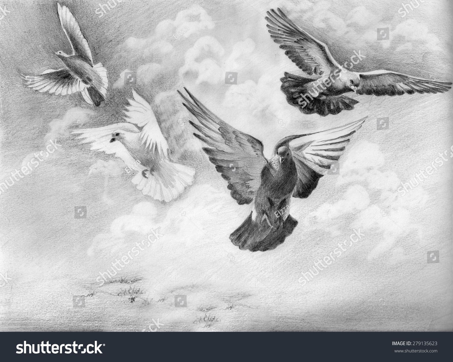 flying dove pencil drawing