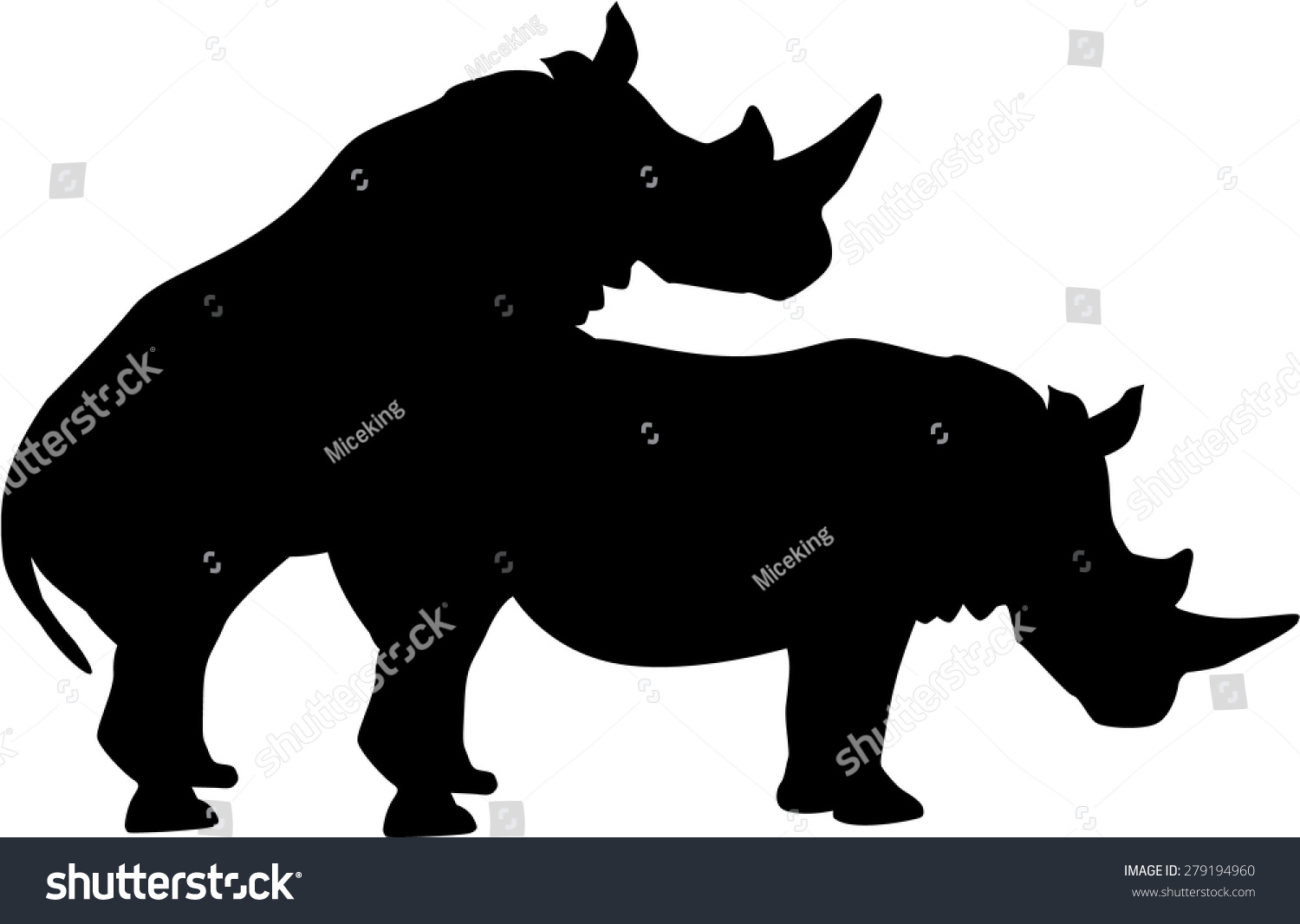 Rhinos Fucking