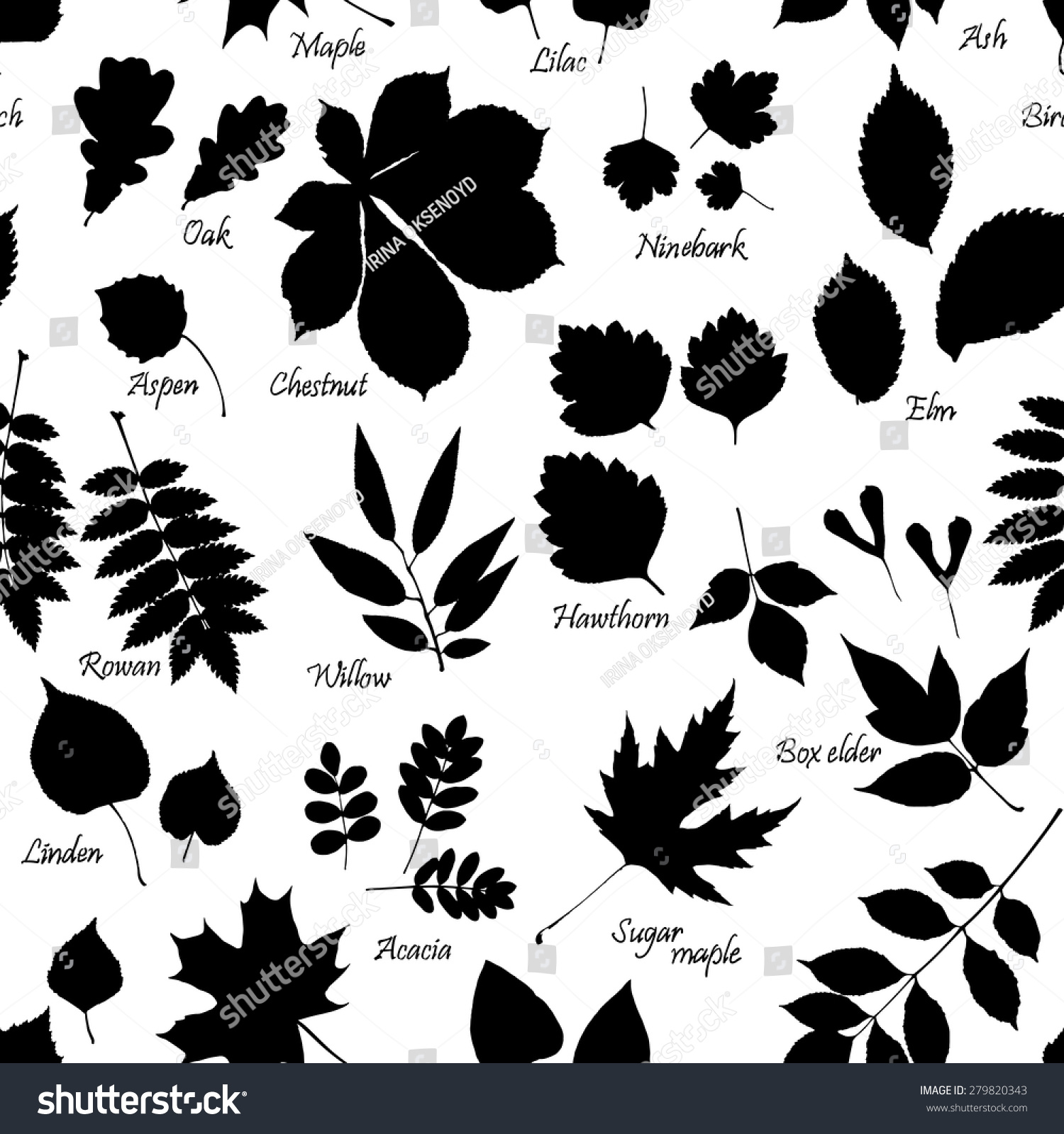 Vector Seamless Pattern Leaves Silhouettes Names Stock Vector (Royalty ...