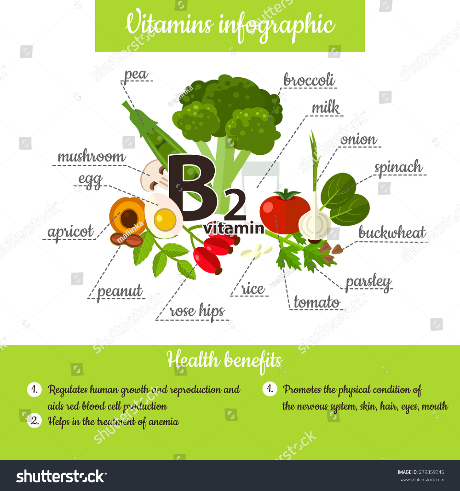 Infographic Set Vitamin E Useful Products Stock Vector (Royalty Free ...