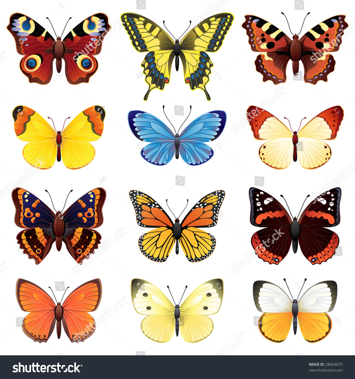 Vector Illustration Butterfly Icon Set Stock Vector (Royalty Free ...