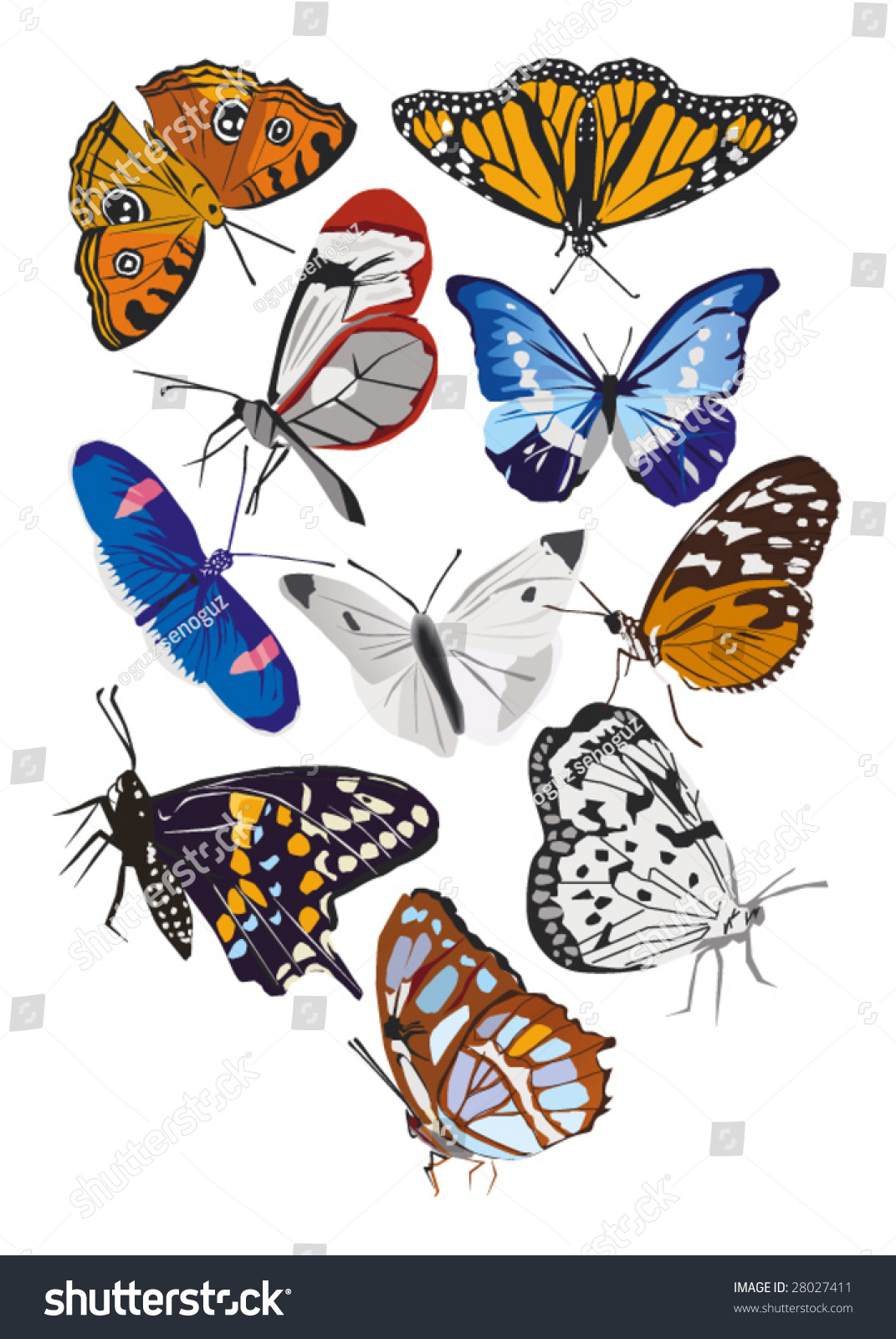 Many Colours Butterflies Vector Stock Vector (Royalty Free) 28027411 ...