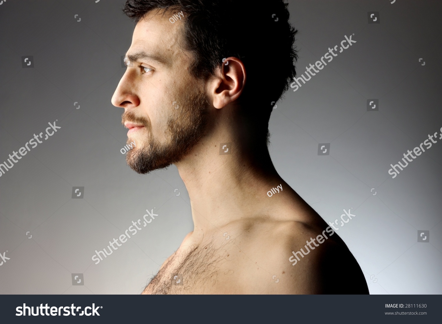 Мужское лицо с бородой в профиль