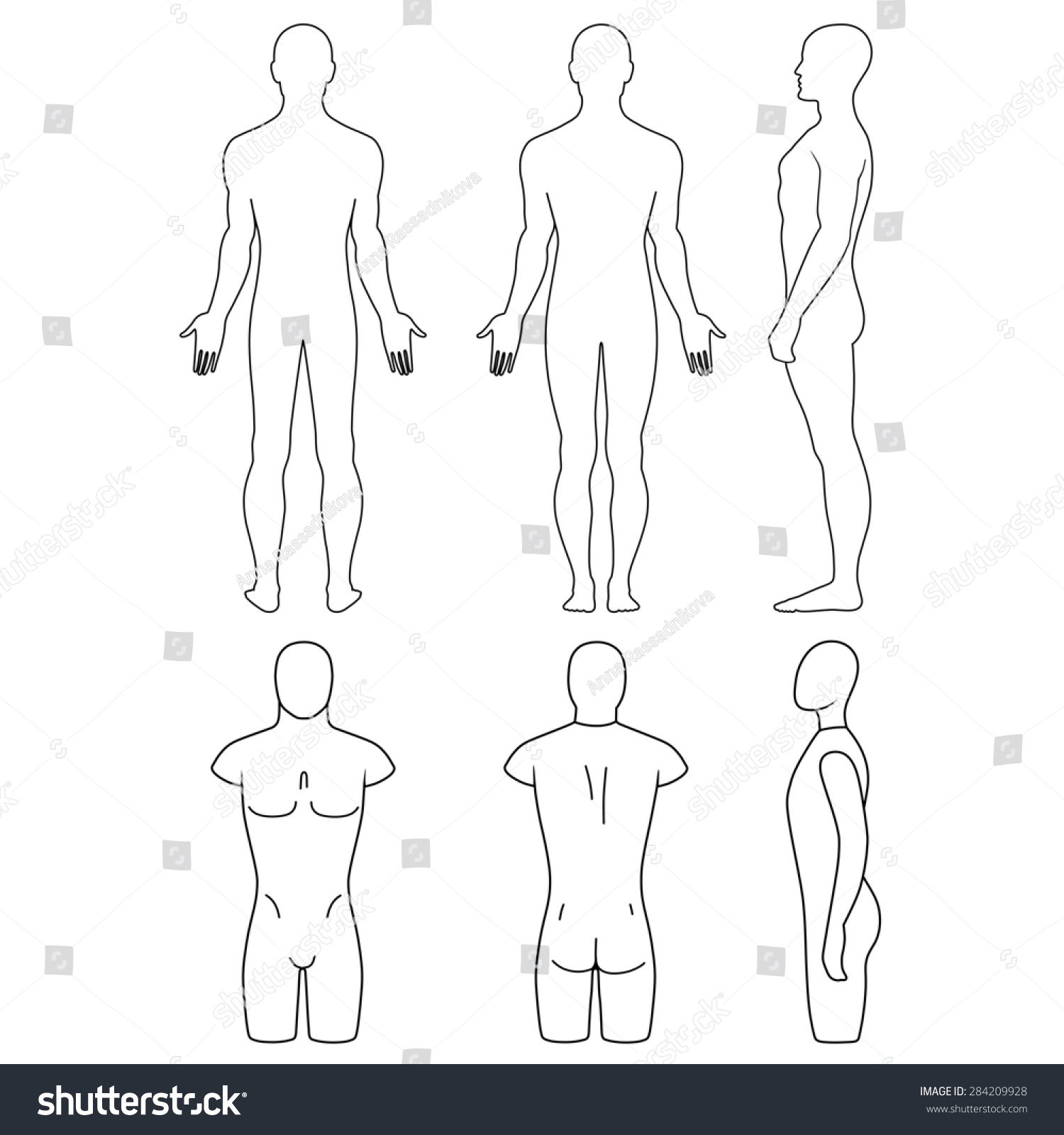 Male Mannequin Outlined Torso Front Back Stock Illustration 284209928 ...