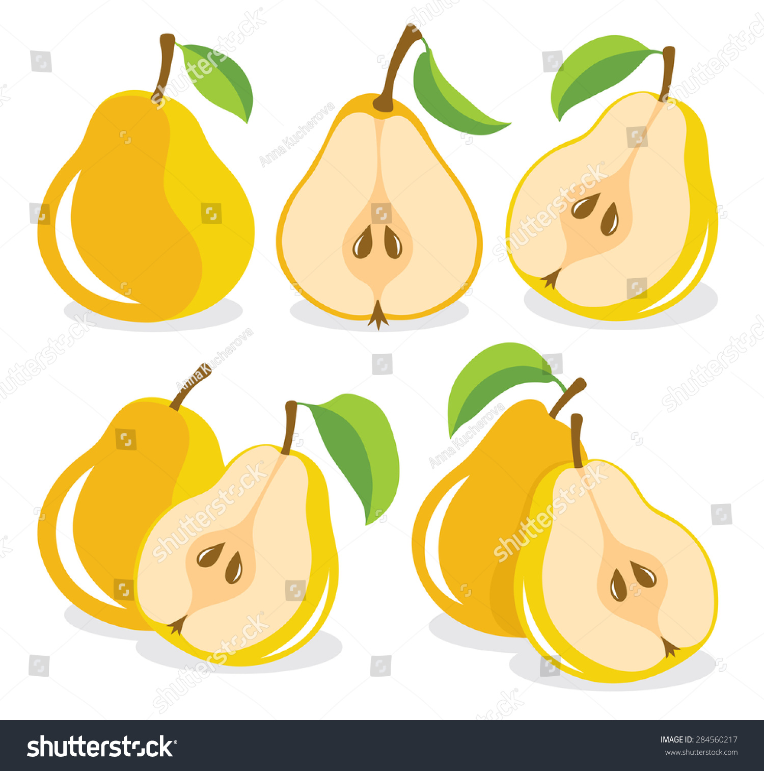 Vector Pears Whole Cut Yellow Pears Stock Vector (Royalty Free ...