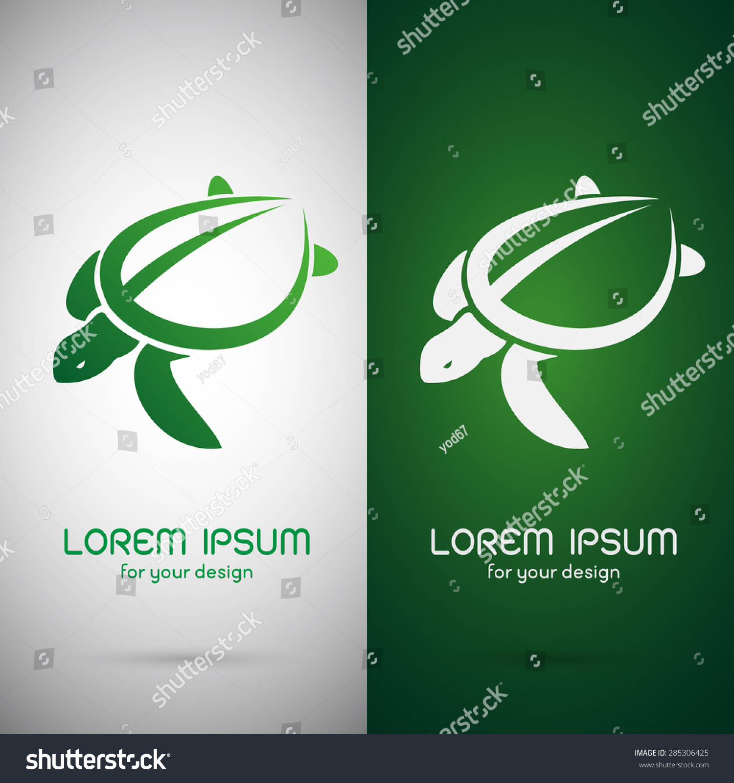 Vector Image Turtle Design On White Stock Vector (Royalty Free ...