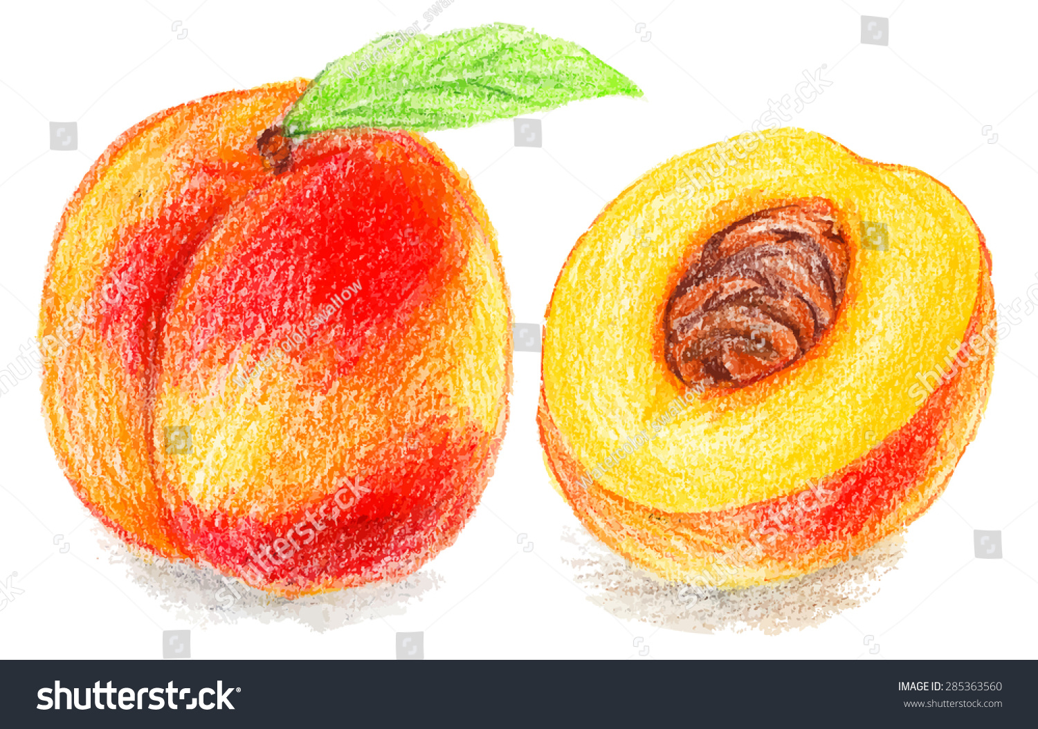 Персик рисунок карандашом