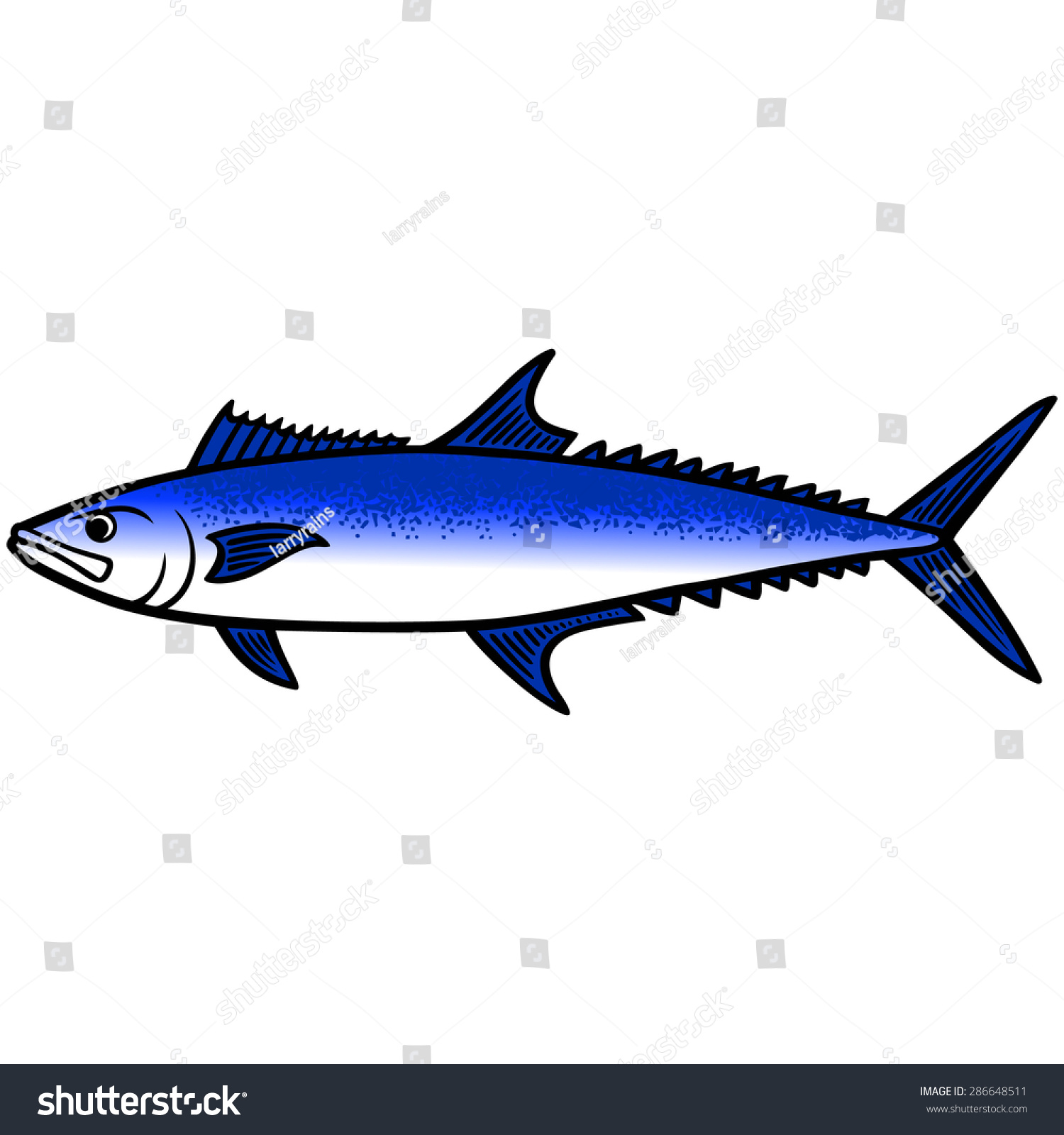 King Mackerel Fish Stock Vector Royalty Free 286648511 Shutterstock