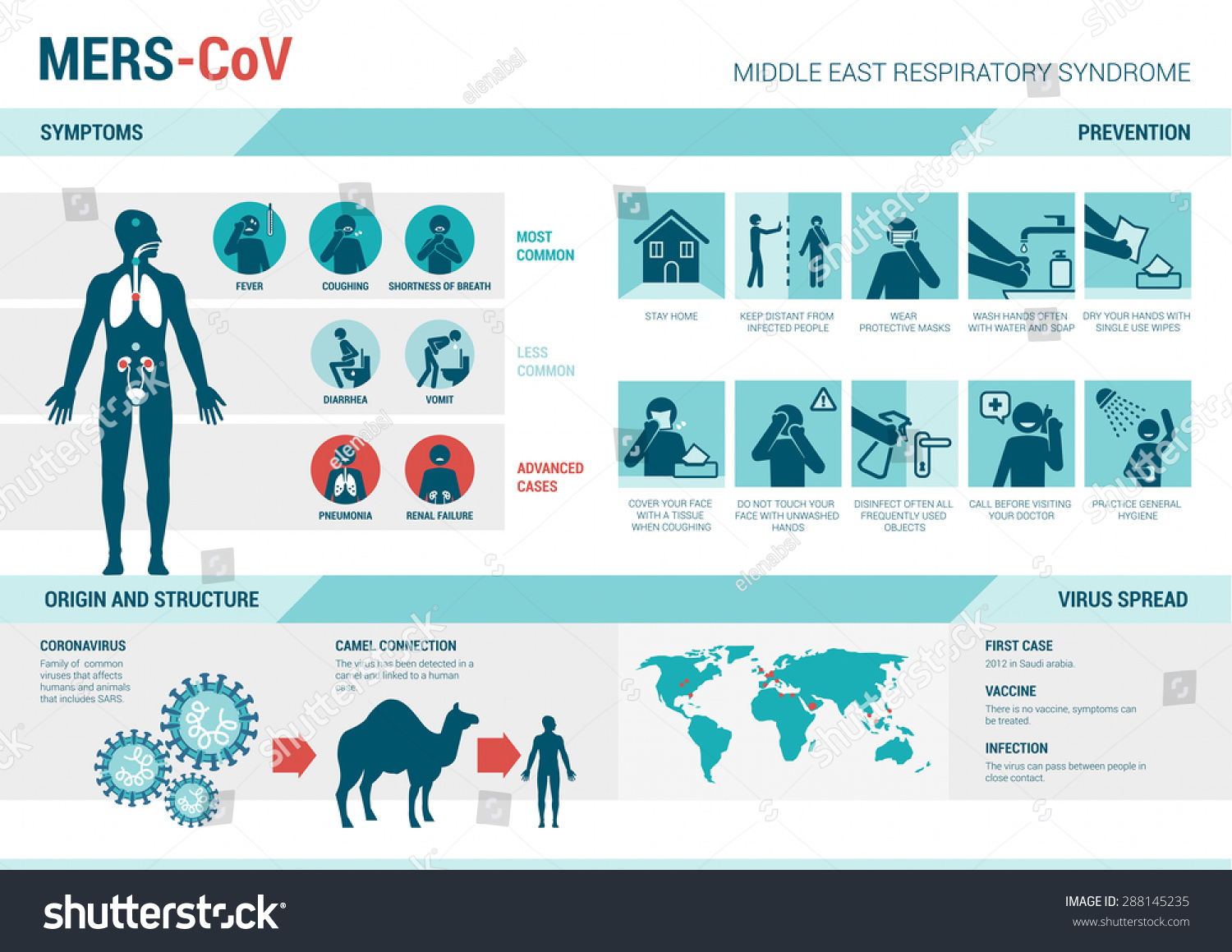 Mers_cov Infographics Symptoms Prevention Medical Procedures Stock ...