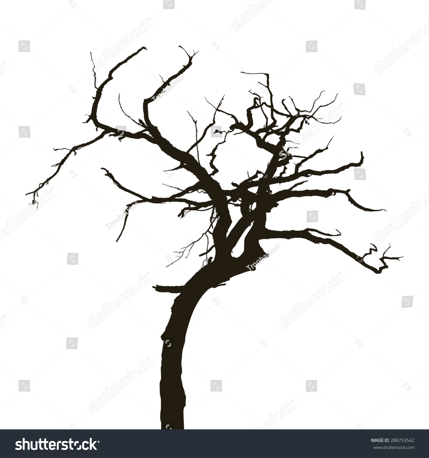 Curved Silhouette Dry Tree Isolated On Stock Vector (Royalty Free ...