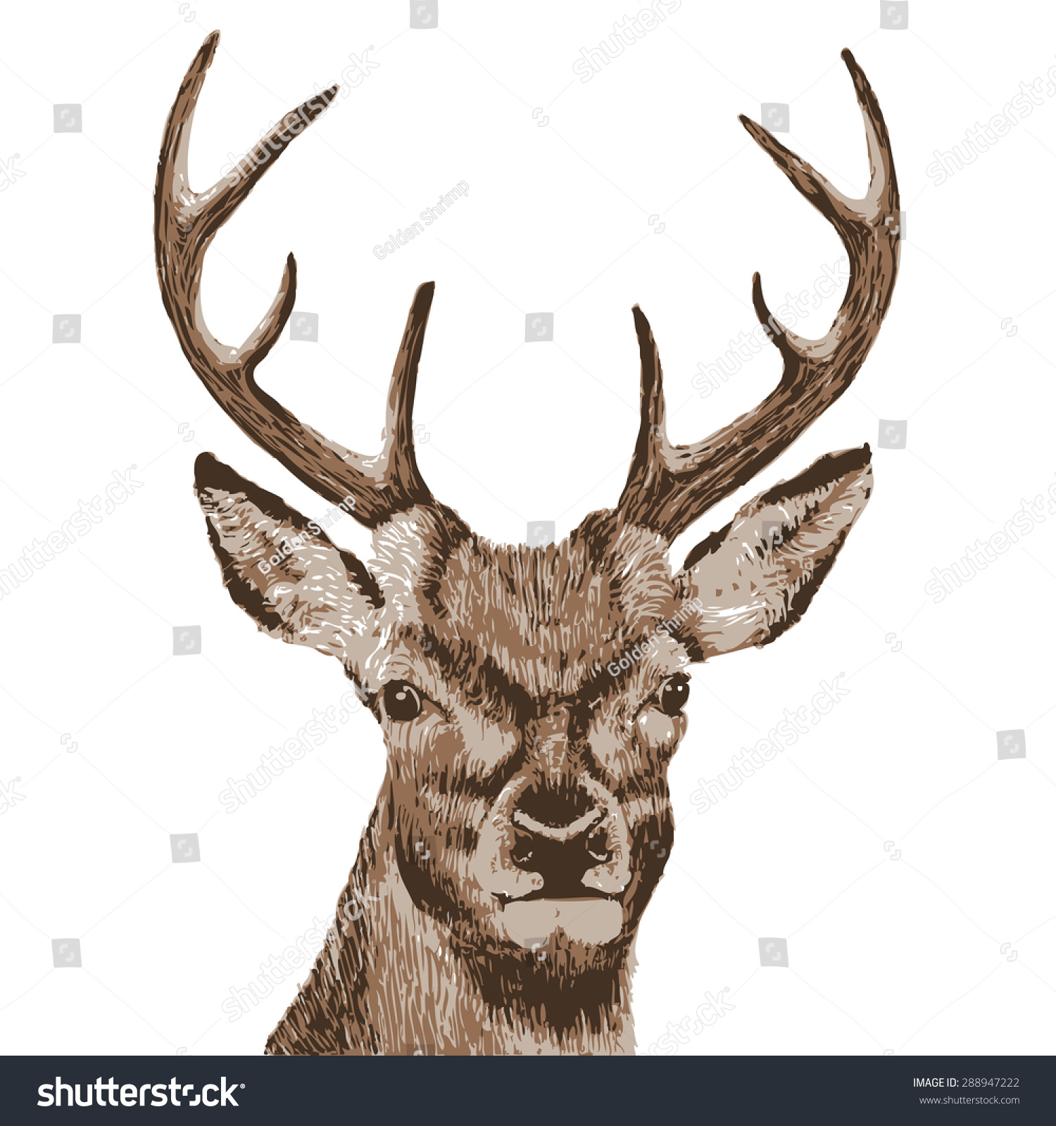 Deer Head Vector Illustration Stock Vector Royalty Free 288947222   Stock Vector Deer Head Vector Illustration 288947222 