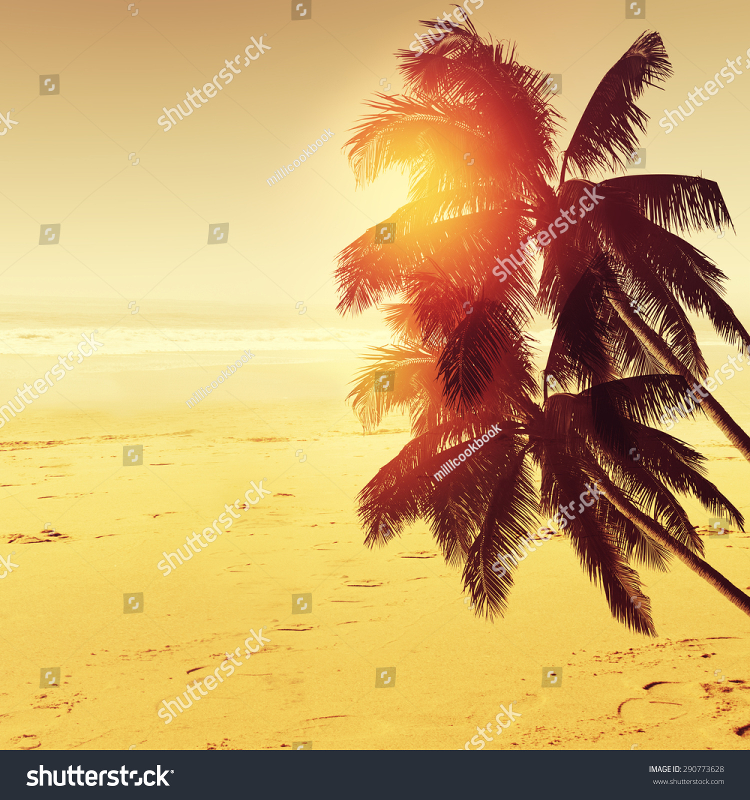 Tropical Beach Landscape Coconut Palm Tree Stock Photo 290773628 ...