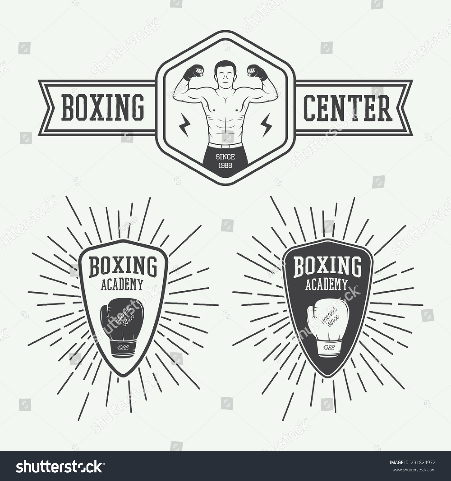 Boxing Martial Arts Logo Badges Labels Stock Vector (Royalty Free ...