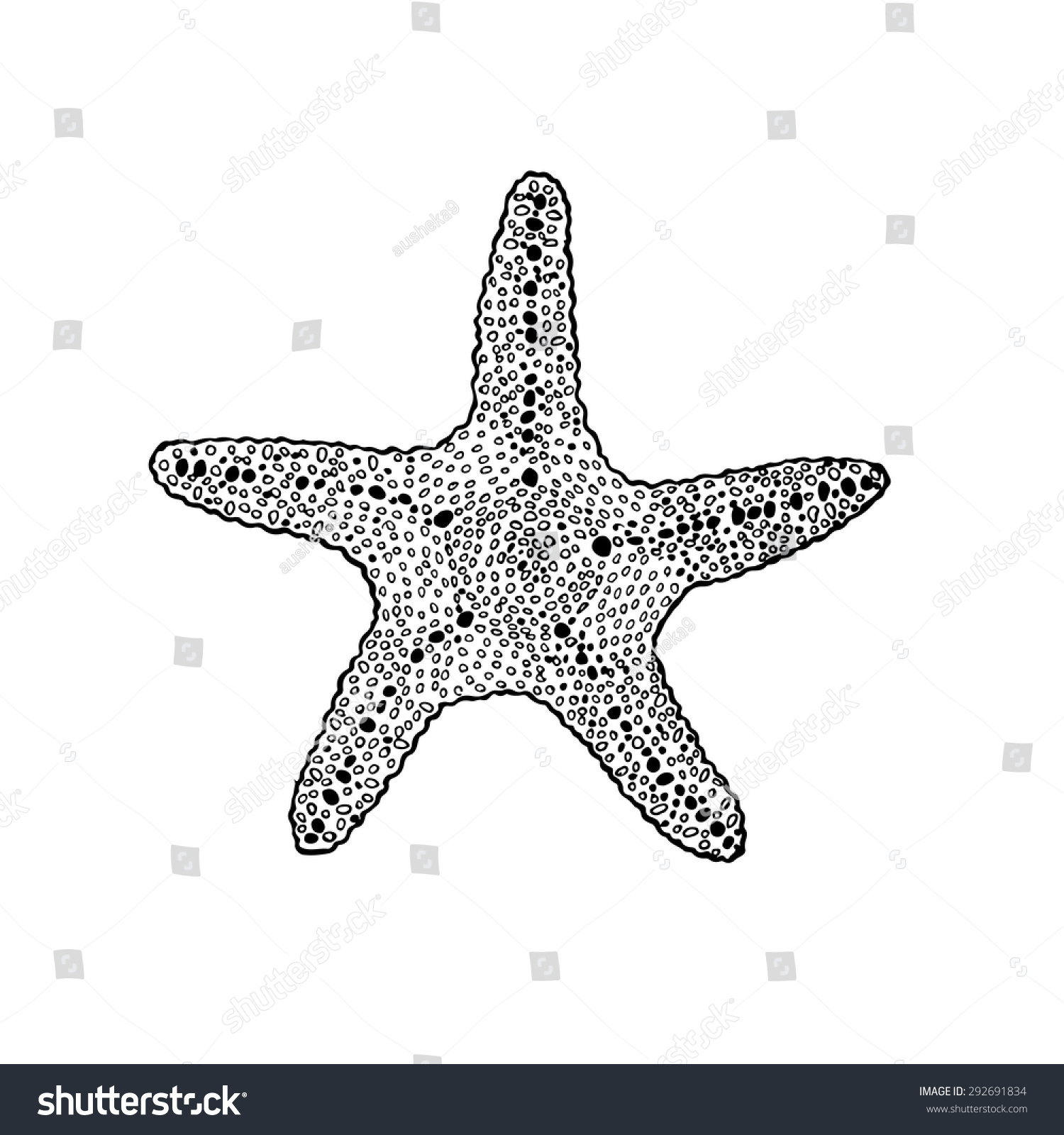 Vector Illustration Sketch Starfish Stock Vector (Royalty Free ...