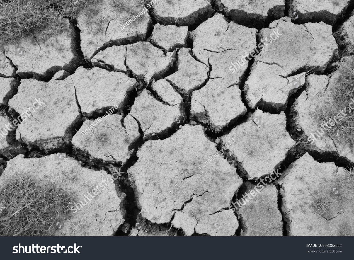 Cracked Soil Dry Earth Texturebackground Stock Photo 293082662 ...