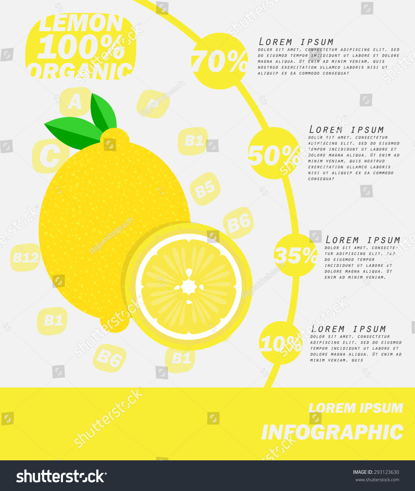 Lemon Infographics Fruit Vegetable Vector Illustration Stock Vector ...