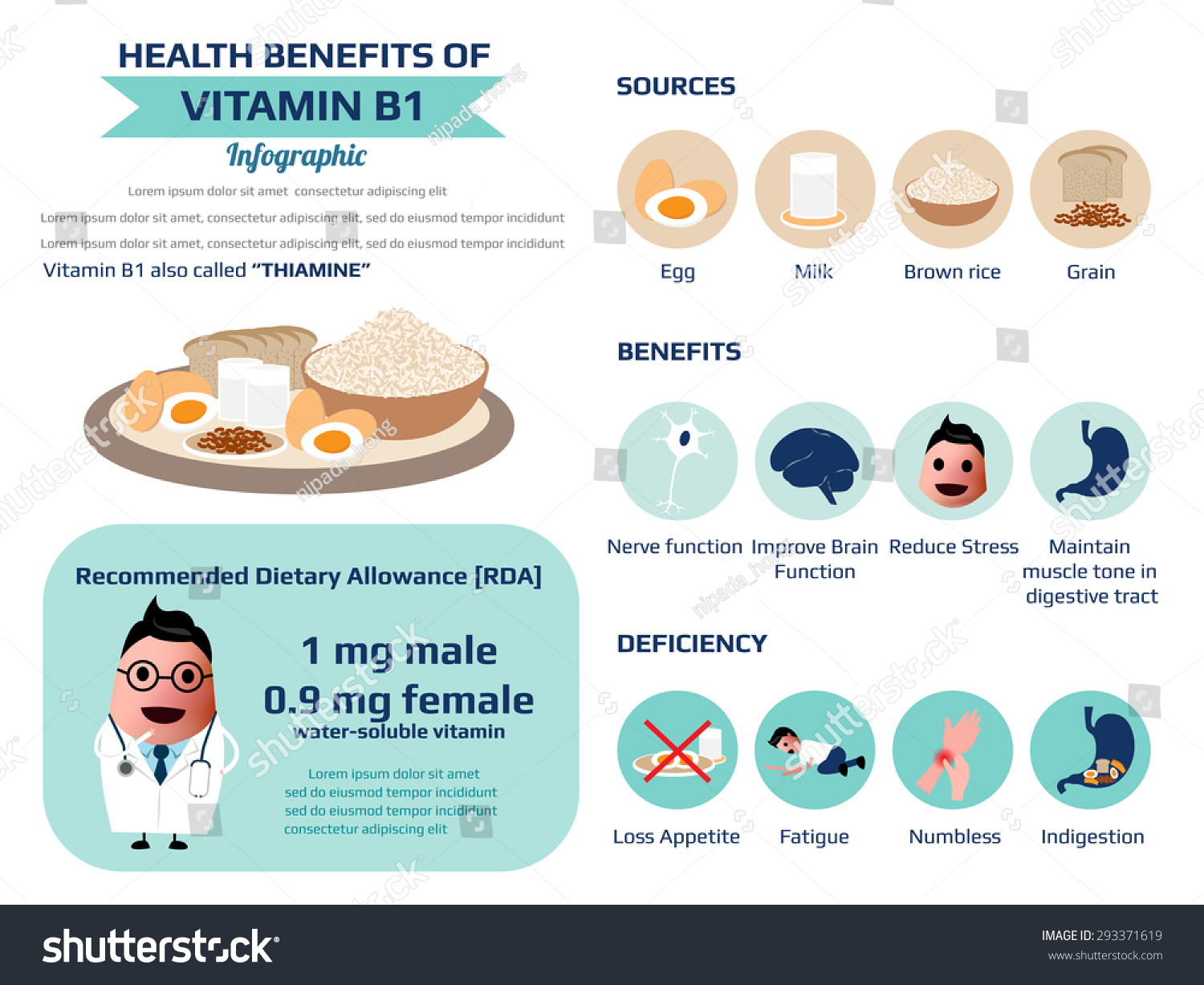 Health Benefits Vitamin B1 Thiamine Infographic: Vector De Stock (libre ...