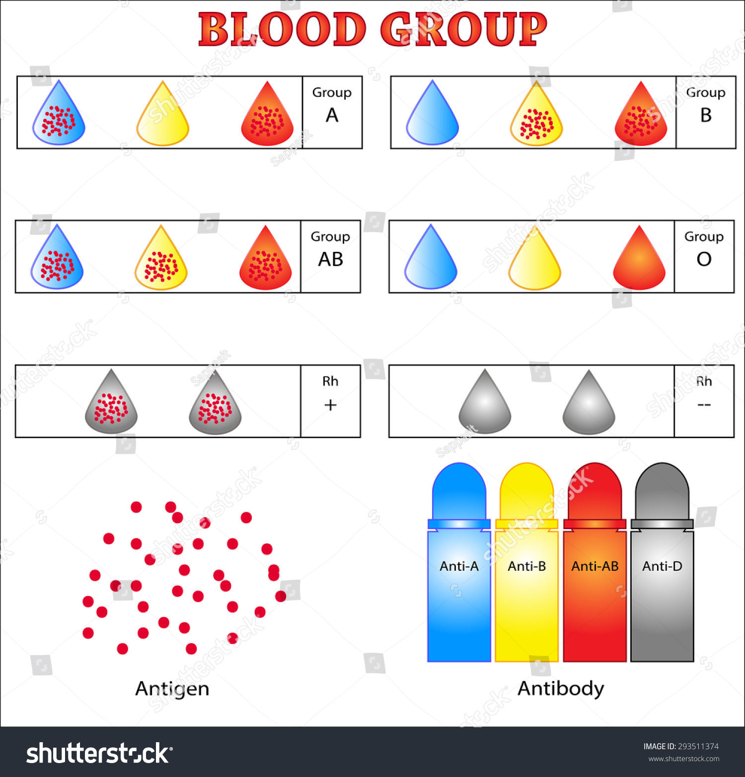 Новый тест группа. Blood Group Test. Blood Group Test Dog. Groups for Blood Tide.