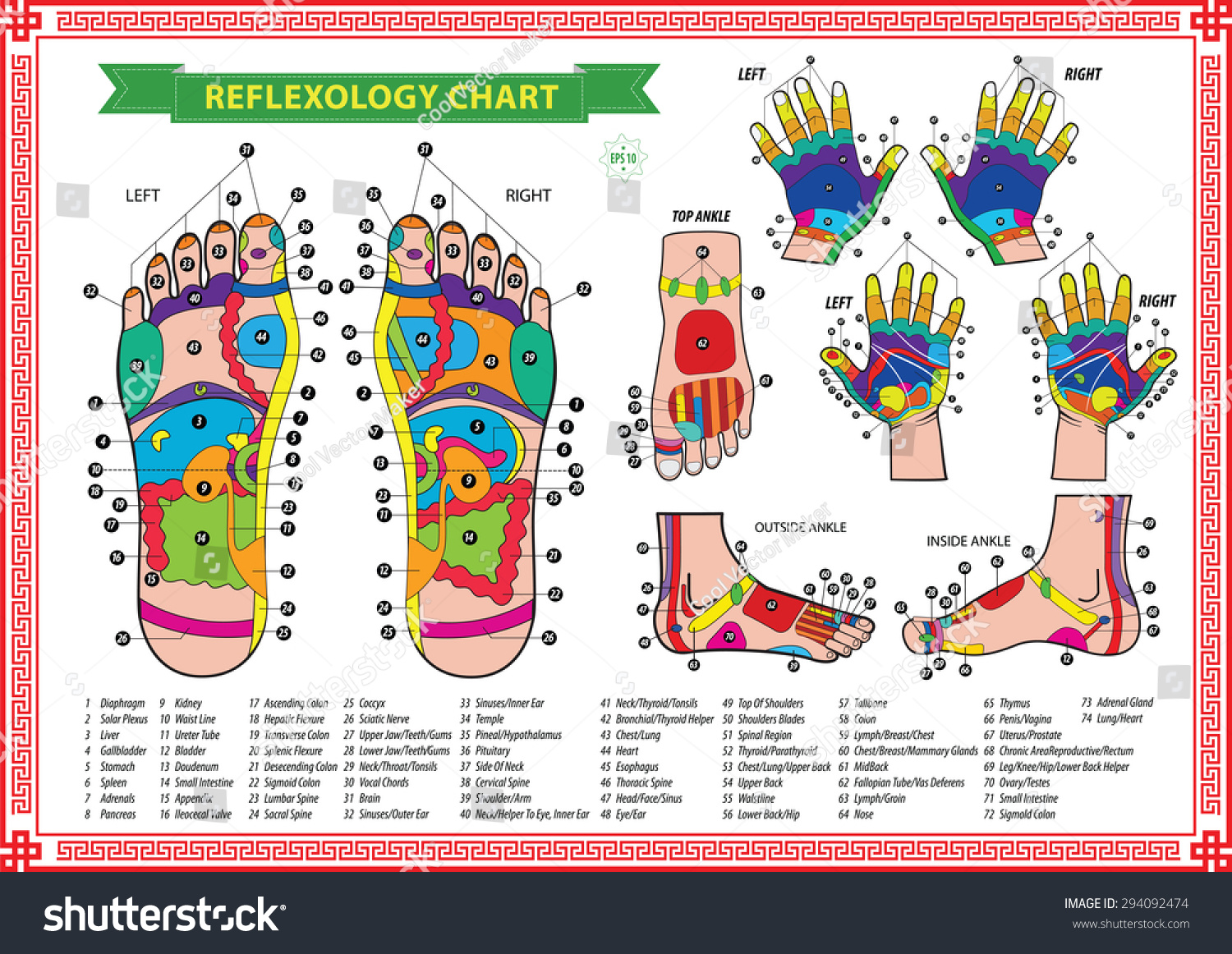 Voet En Hand Reflexologie Kaart Met Stockvector Rechtenvrij 294092474 Shutterstock 