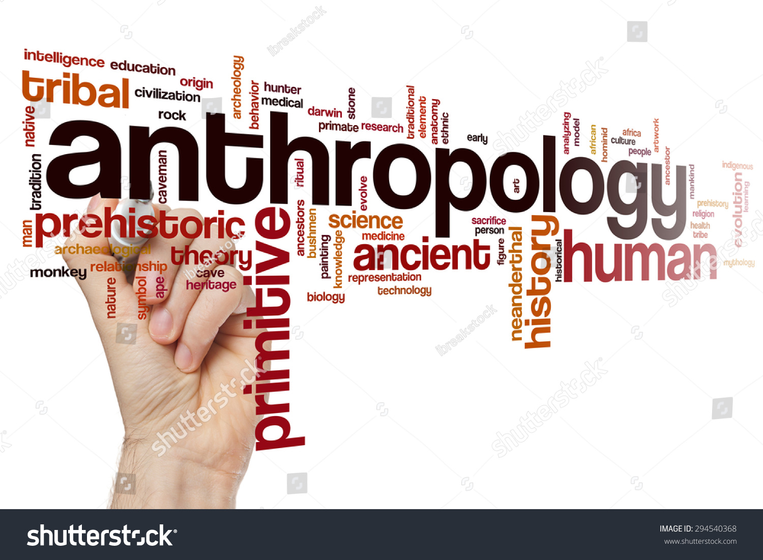 Anthropology Concept Word Cloud Background库存照片294540368 Shutterstock