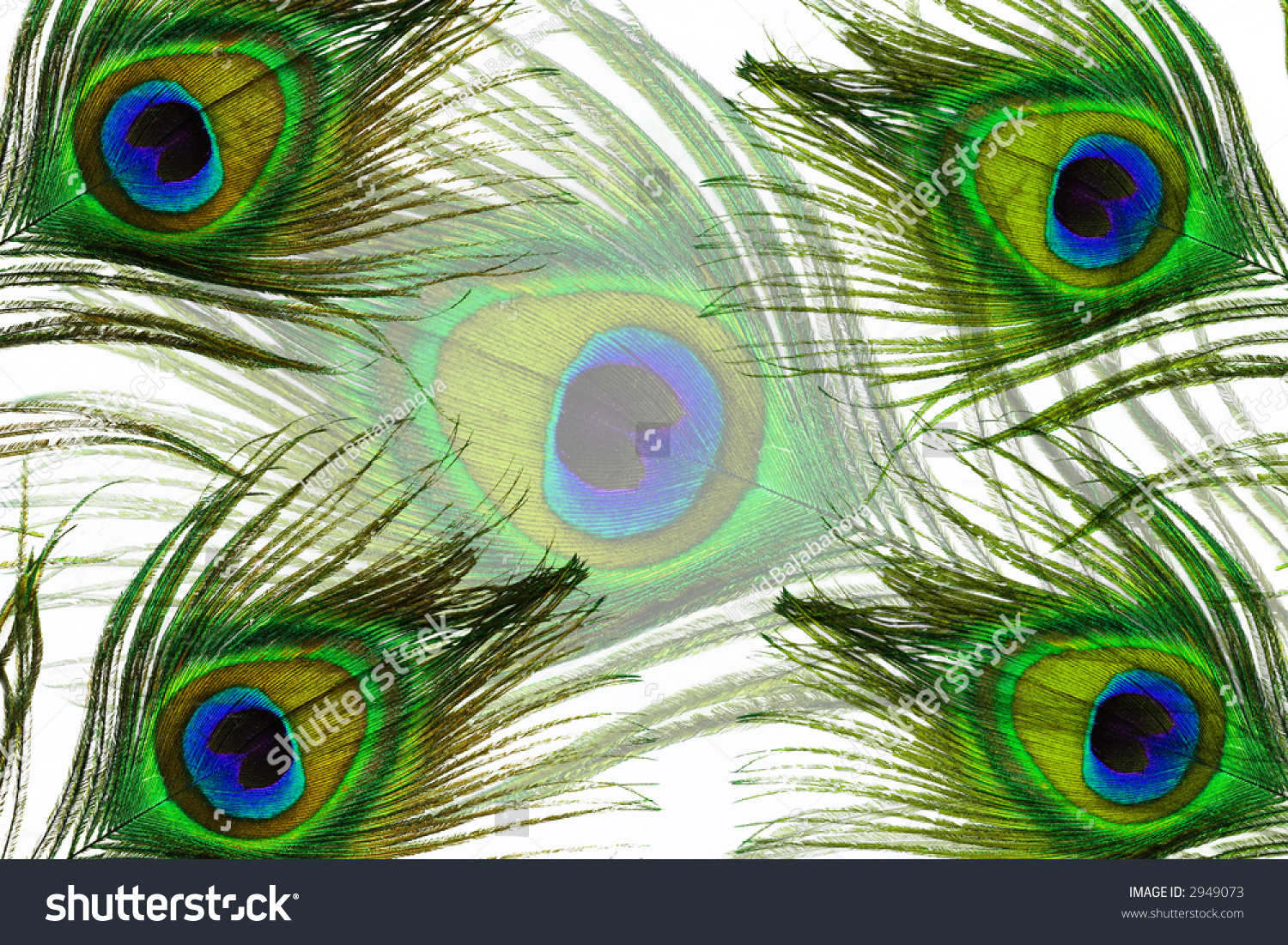 Peacock Feather Eyes Background Stock Photo 2949073 | Shutterstock