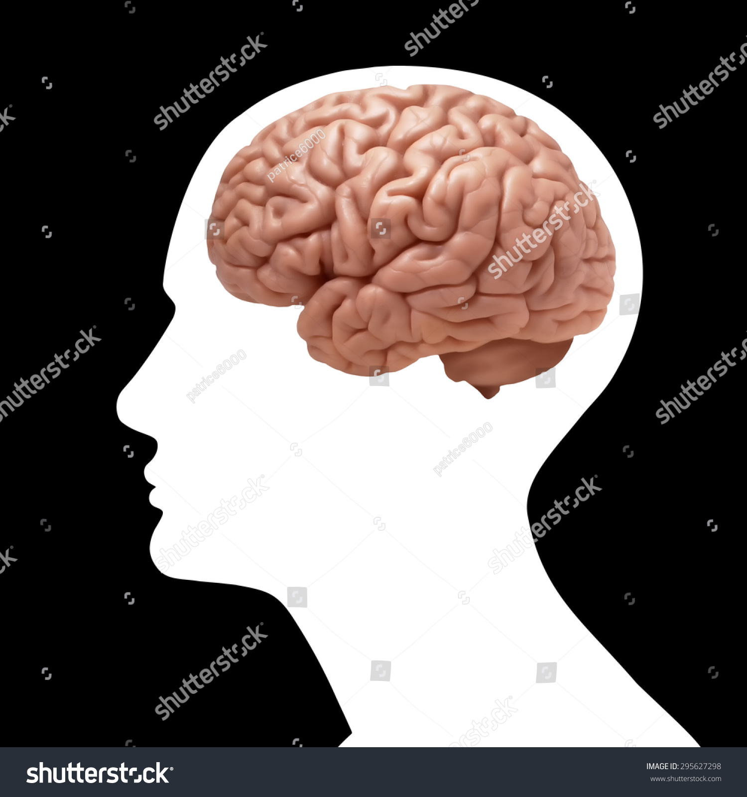 Human Head Brain Black Background Stock Illustration 295627298 ...