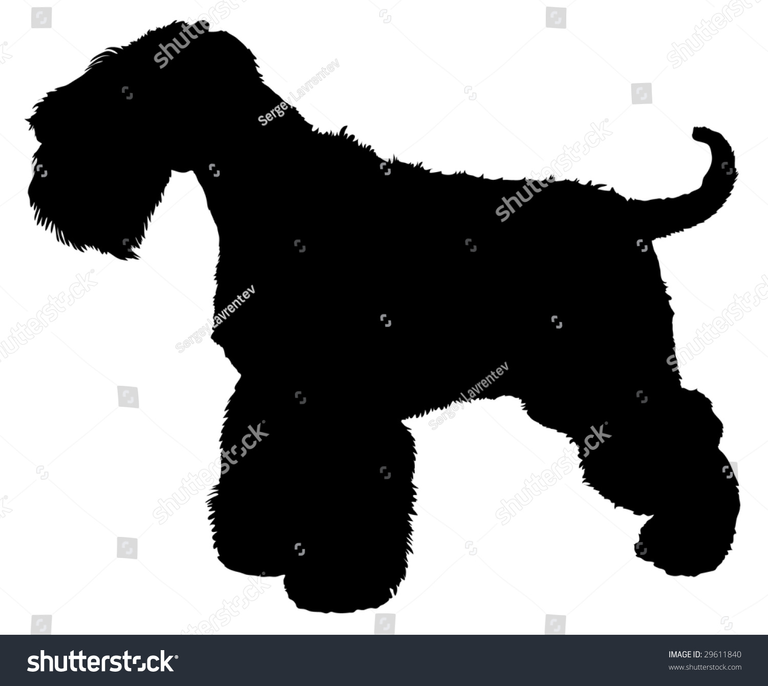 Silhouette Dog Breed Zwergschnauzer Stock Vector (Royalty Free ...