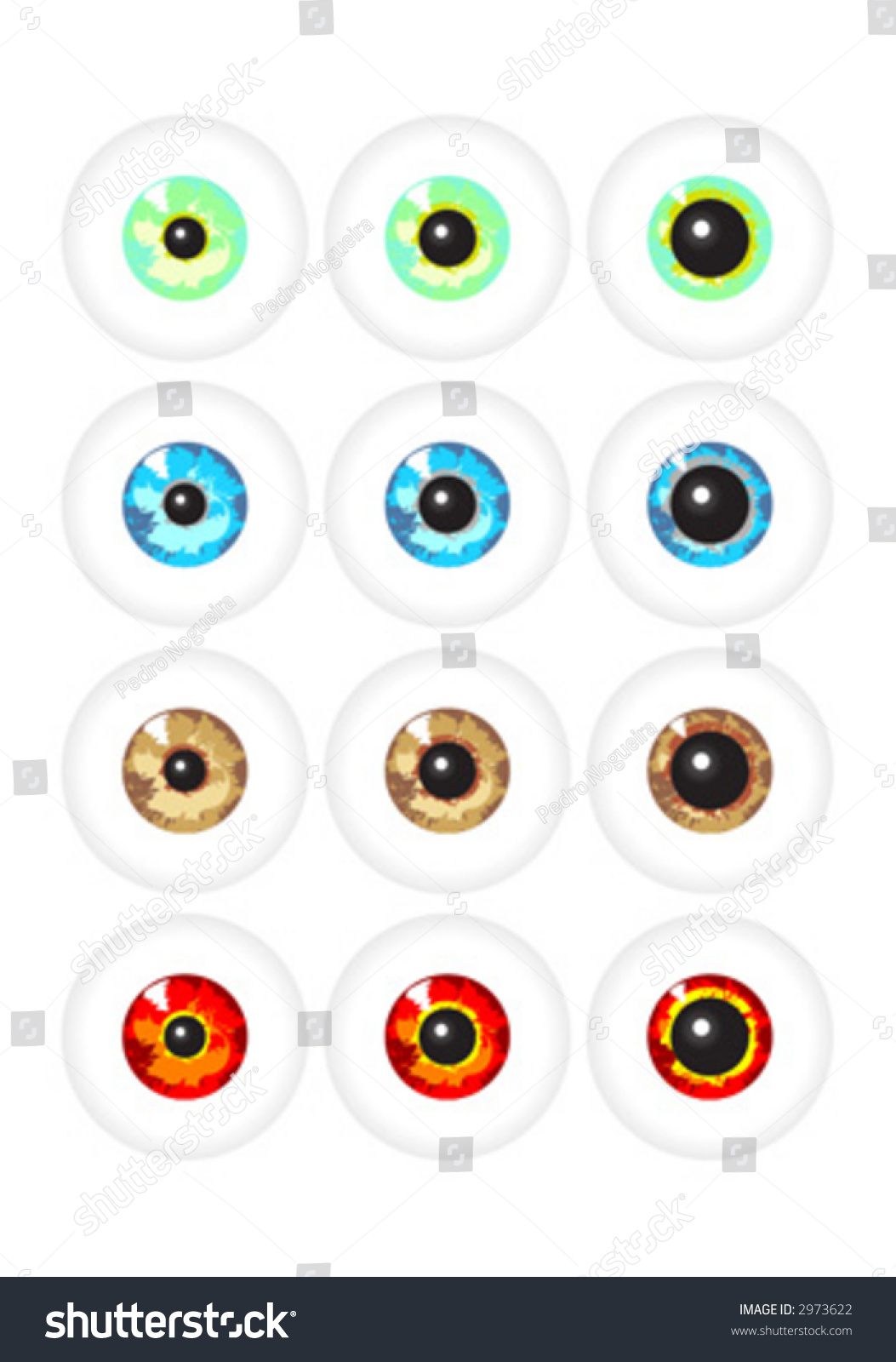 Pairs Eyes Different Colors Pupil Sizes Stock Vector (Royalty Free ...