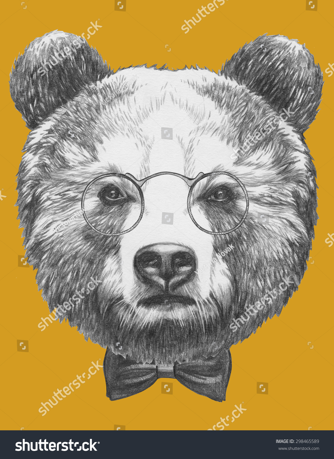 Портрет медведя рисунок
