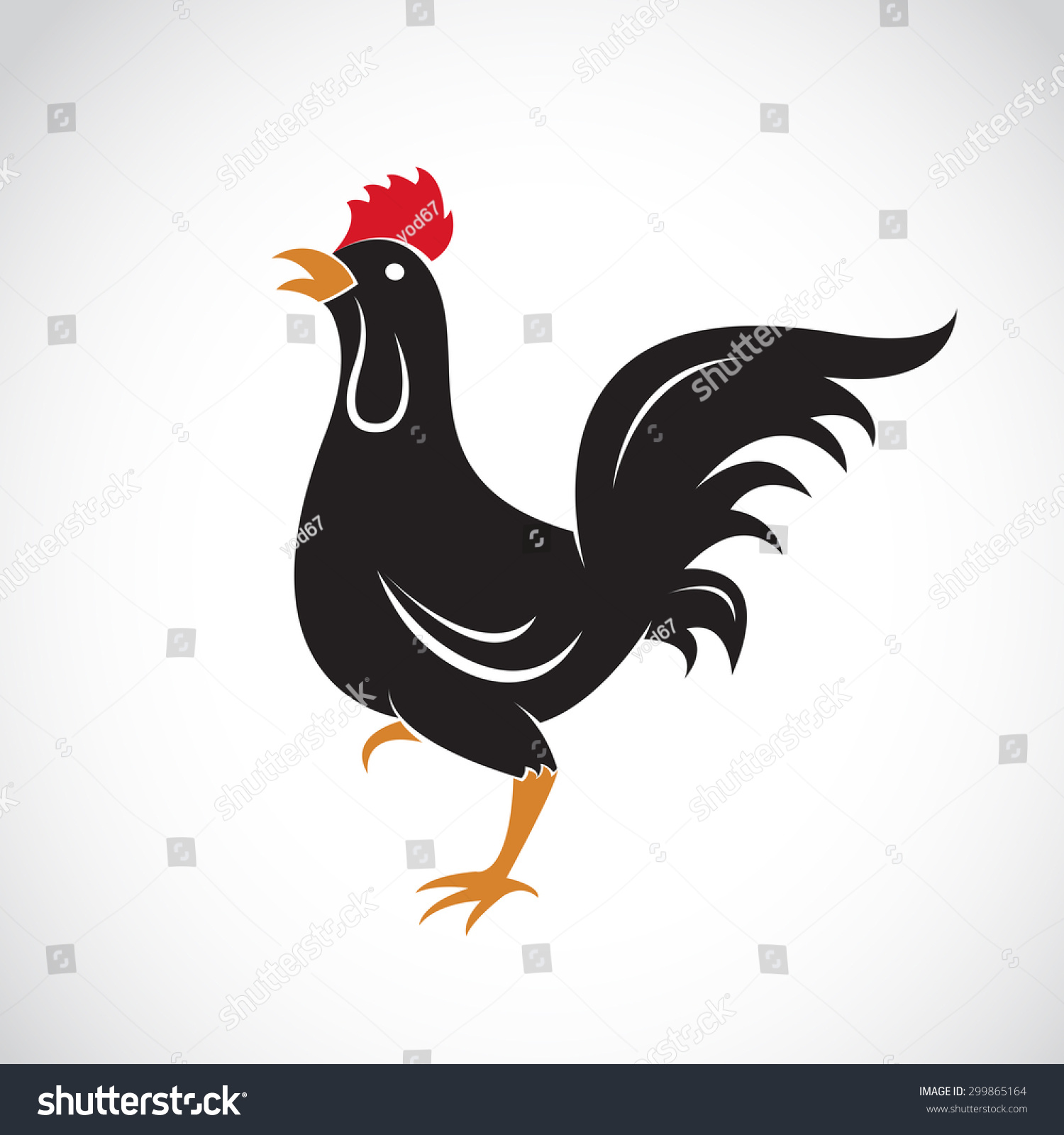 Vector Image Chicken Design On White Stock Vector (royalty Free 