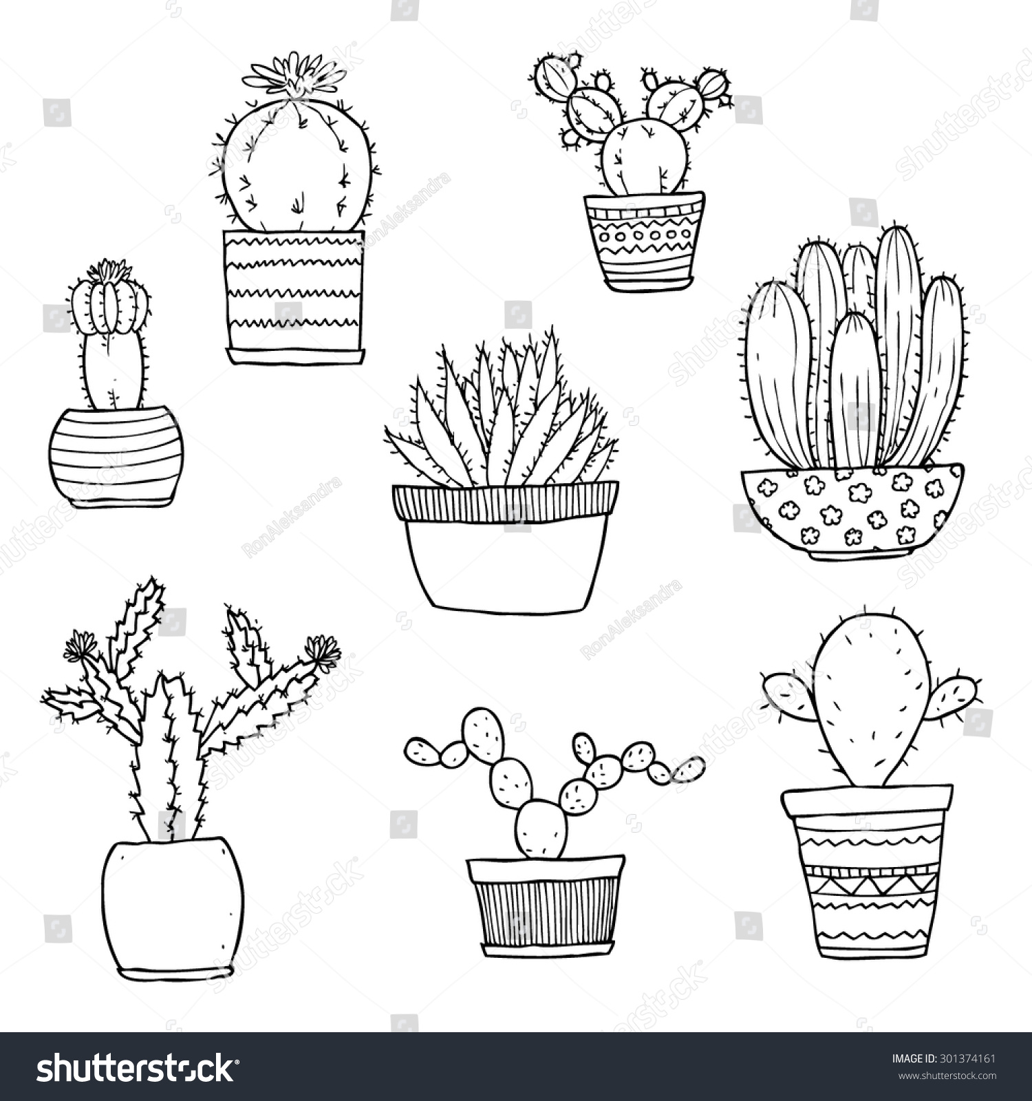 Vector Set Hand Drawn Cactus Stock Vector (Royalty Free) 301374161 ...