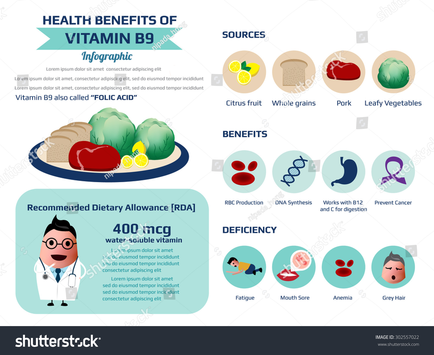 Health Benefits Vitamin B9 Folic Acid เวกเตอร์สต็อก ปลอดค่าลิขสิทธิ์