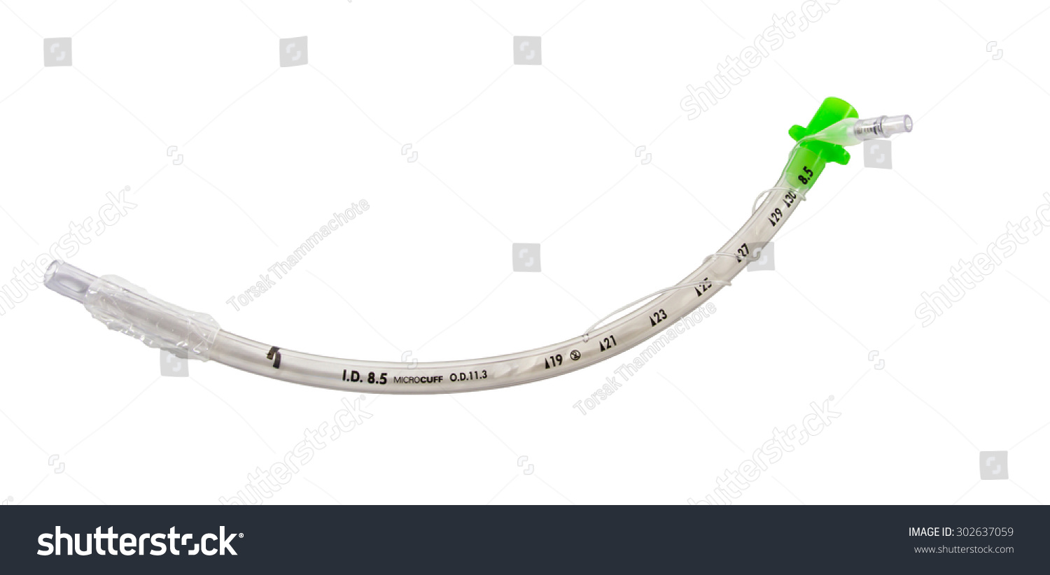 Uncuffed Endotracheal Tube Isolated On White Stock Photo 302637059 ...