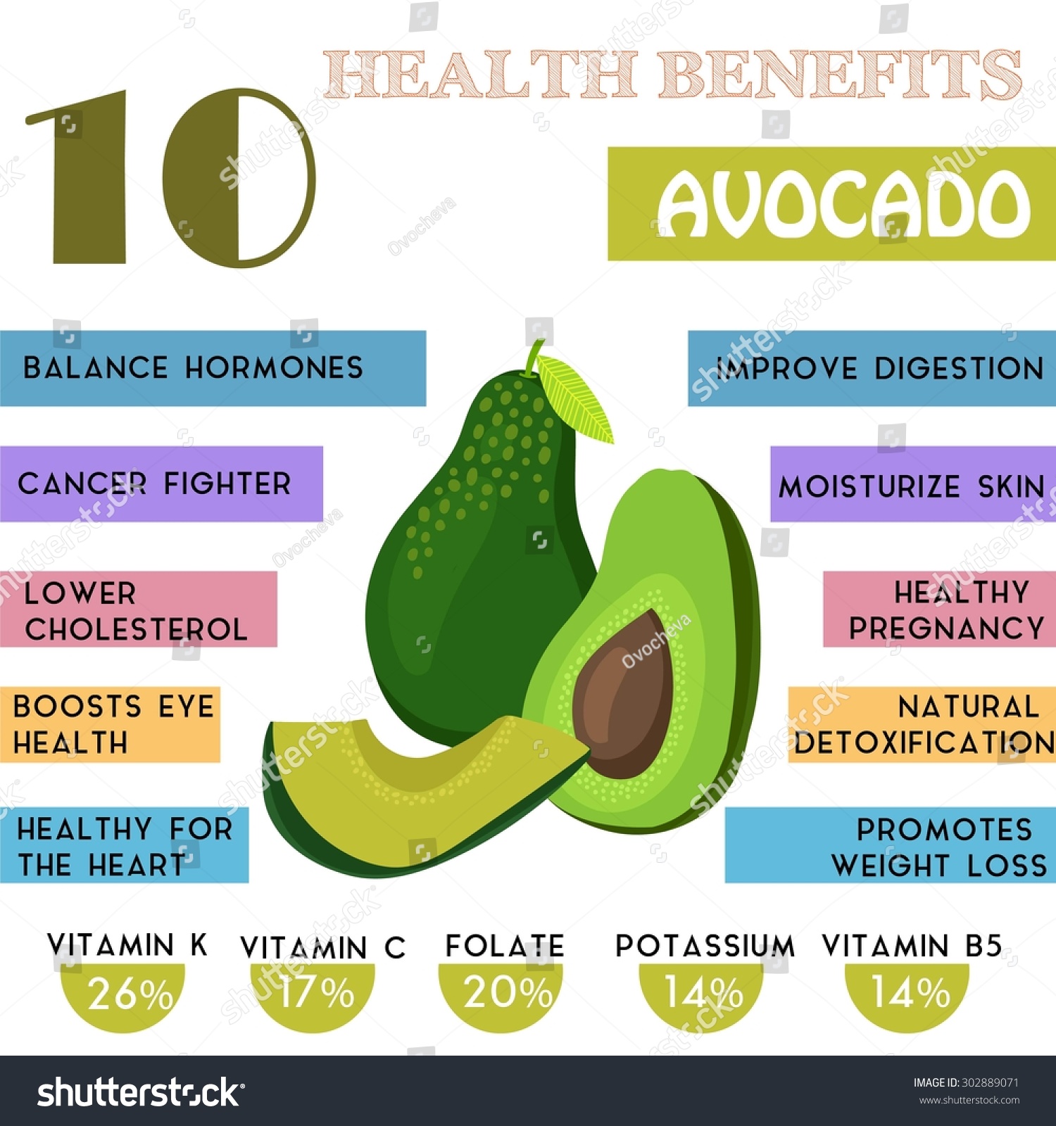 10 Health Benefits Information Avocado Nutrients 库存矢量图（免版税）302889071 Shutterstock