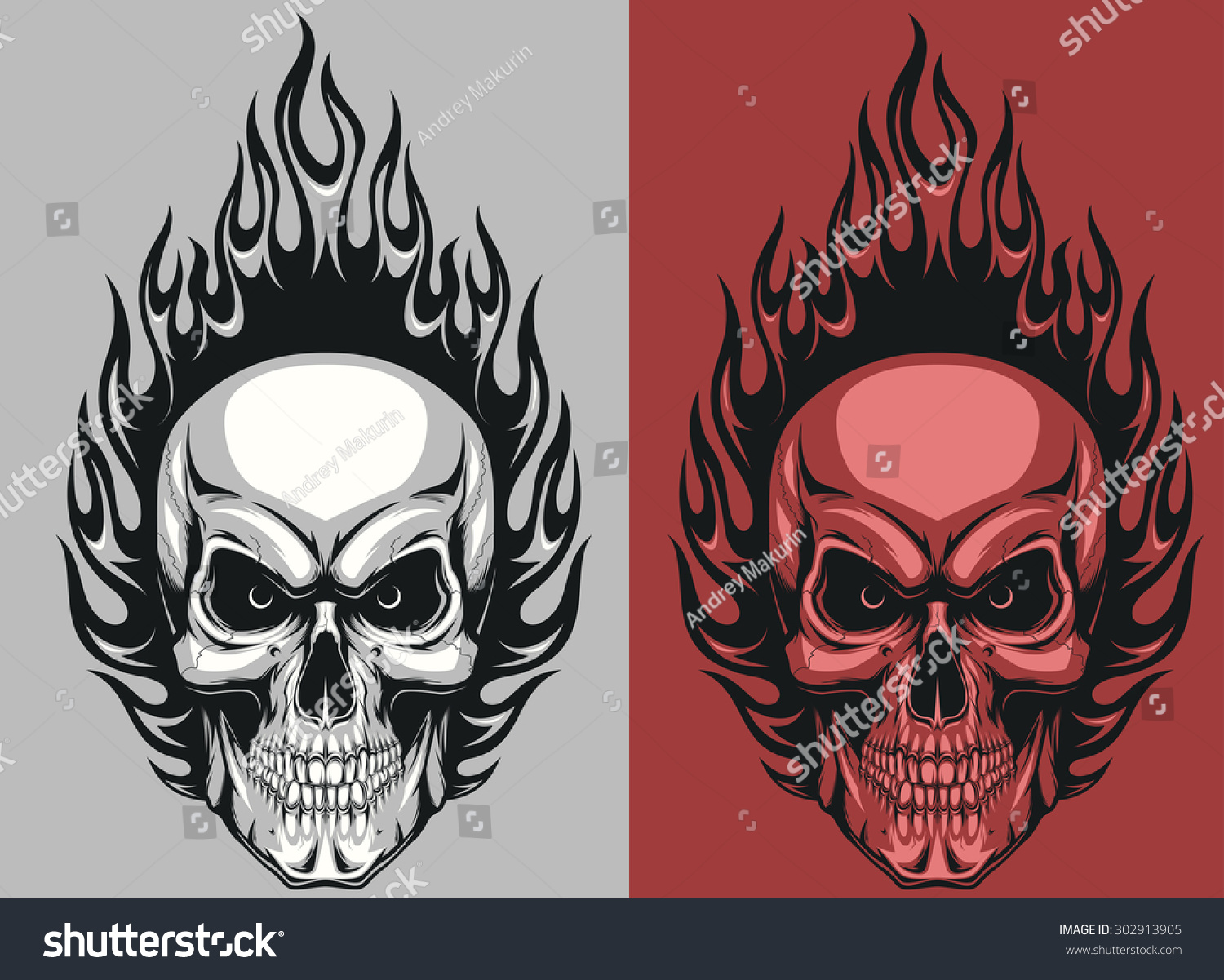 Human Skull Stock Vector (Royalty Free) 302913905 | Shutterstock