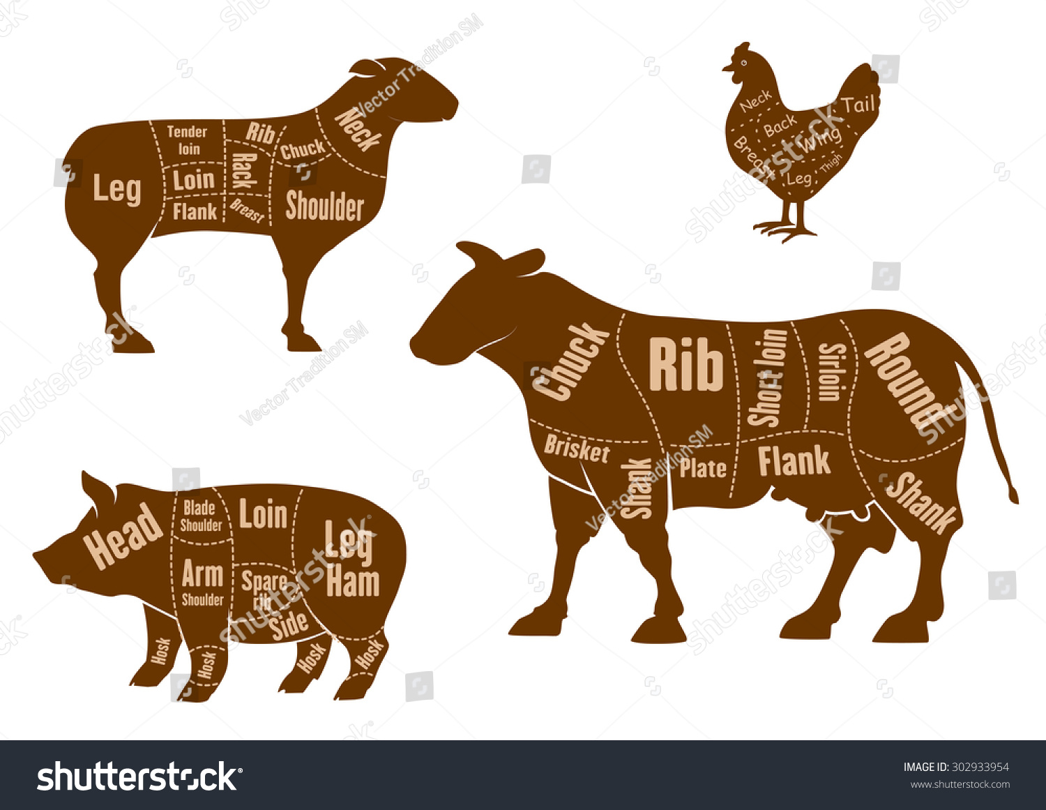 Chicken Pork Beef Lamb Meat Cuts Stock Vector (Royalty Free) 302933954 ...