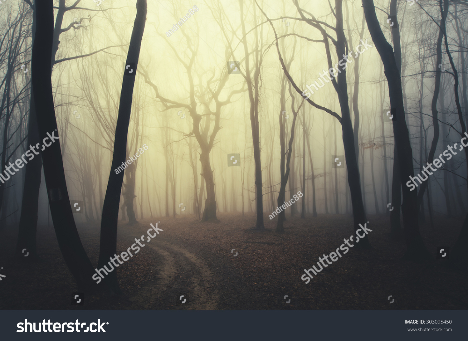 Scary Twisted Trees Forest Sunset Stock Photo 303095450 | Shutterstock