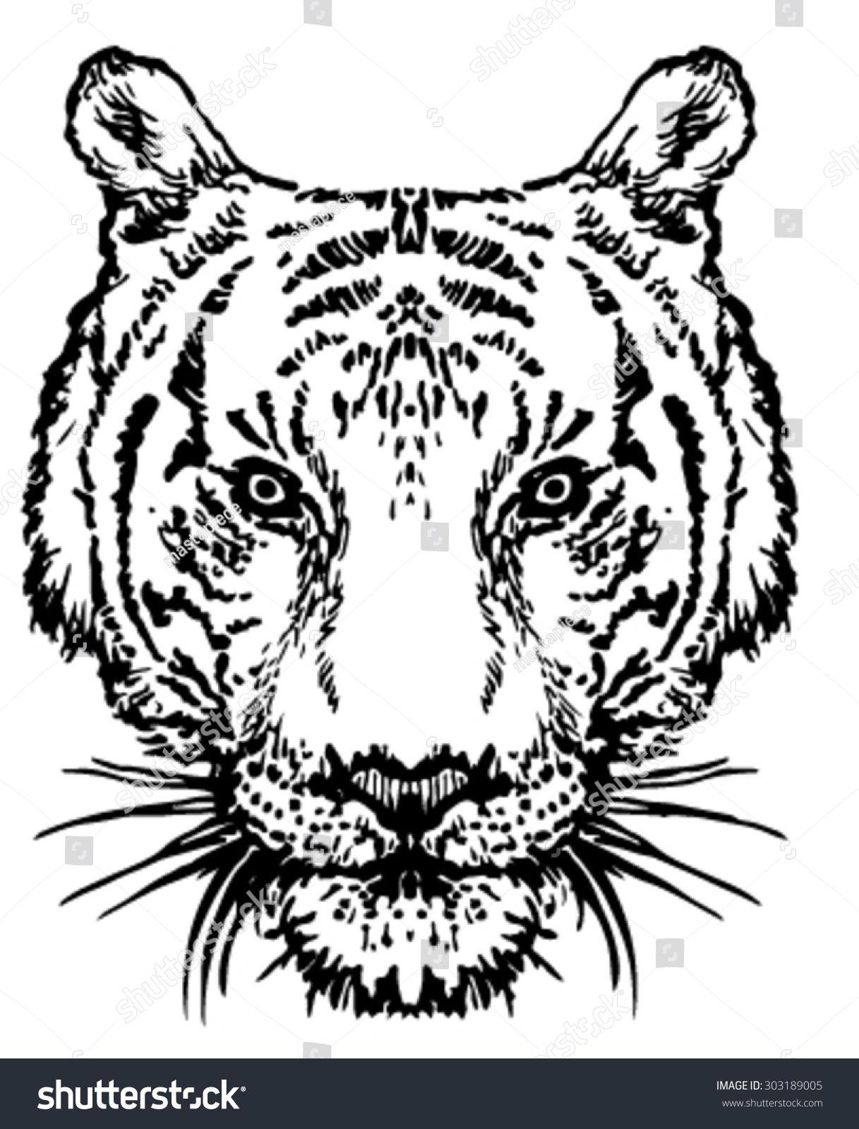 Симметричный рисунок тигра