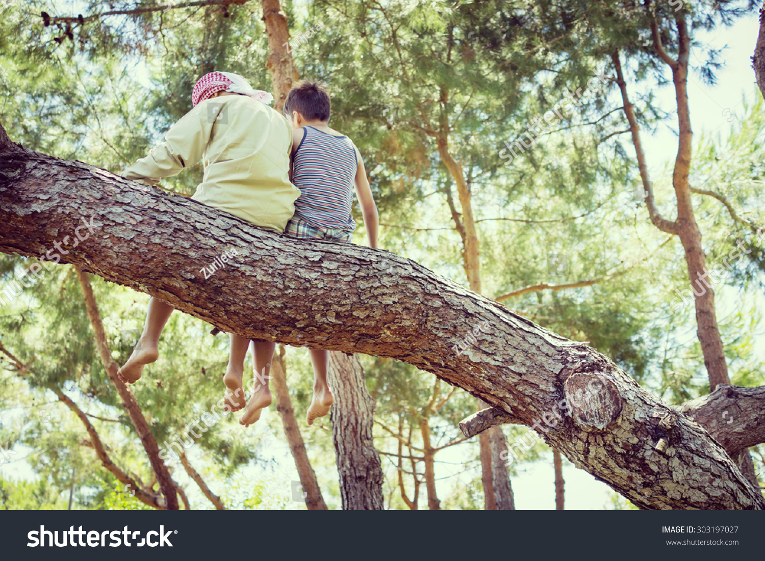 Сидит на дереве