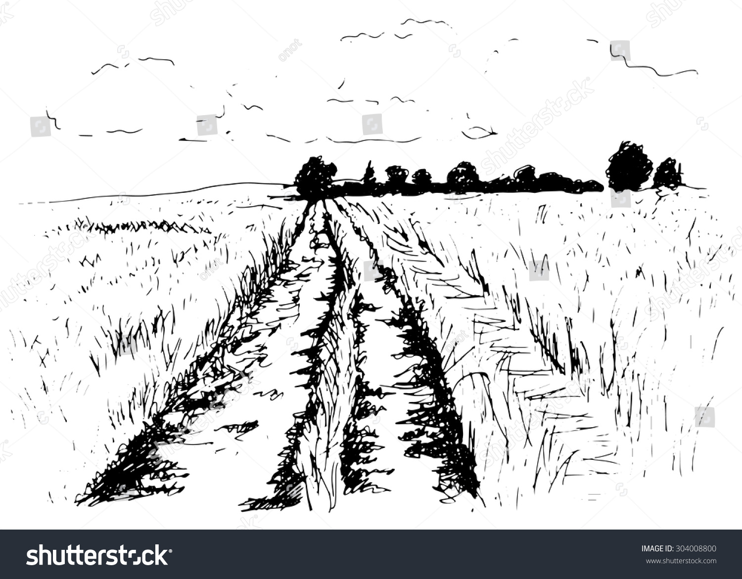 Поле рисунок