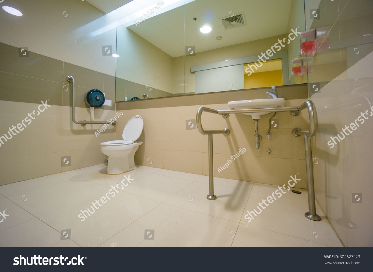 Public Handicapped Toilet Mall Stock Photo 304627223 | Shutterstock