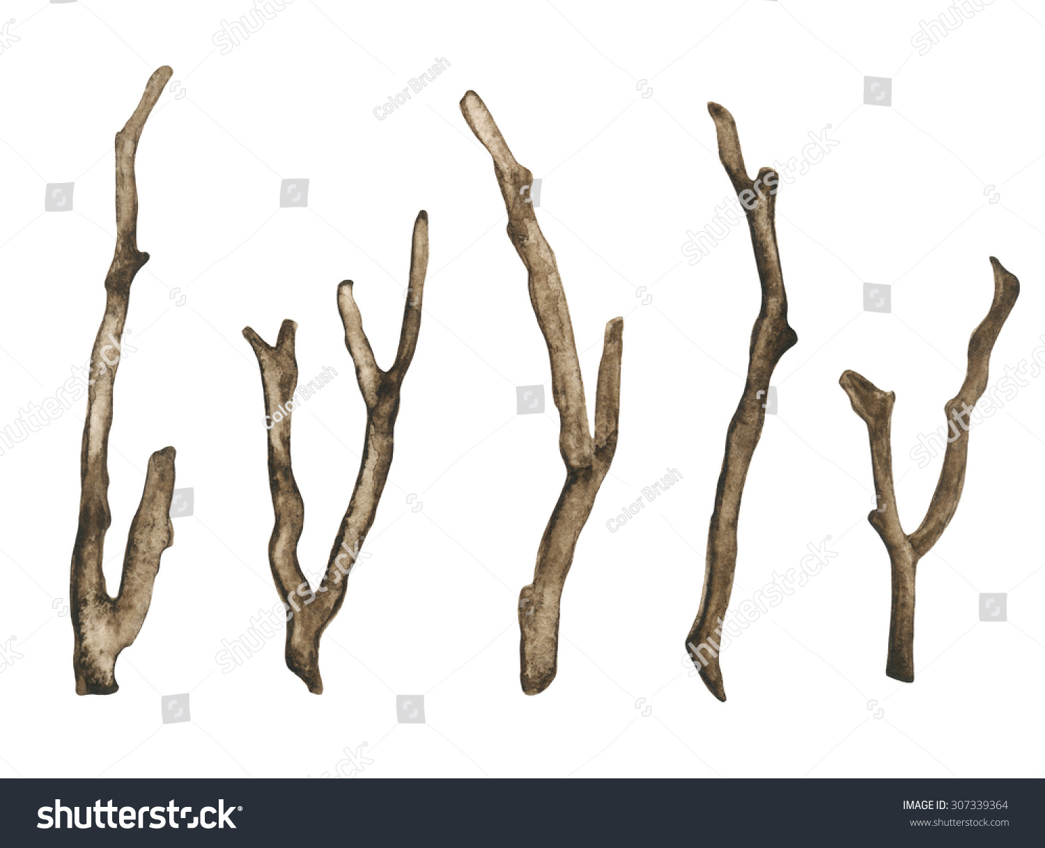 Watercolor Dry Tree Branches Twigs Set Stock Illustration 307339364 ...