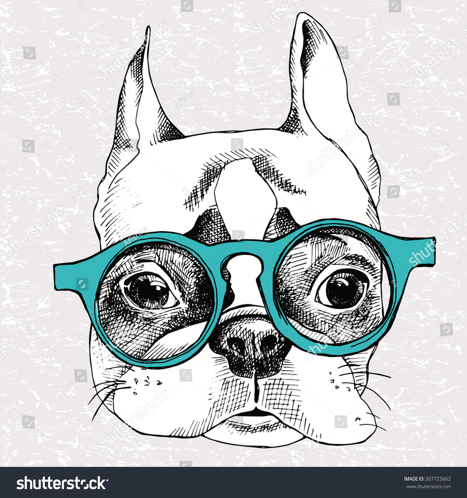 Image Portrait French Bulldog Glasses Vector Stock Vector (Royalty Free ...