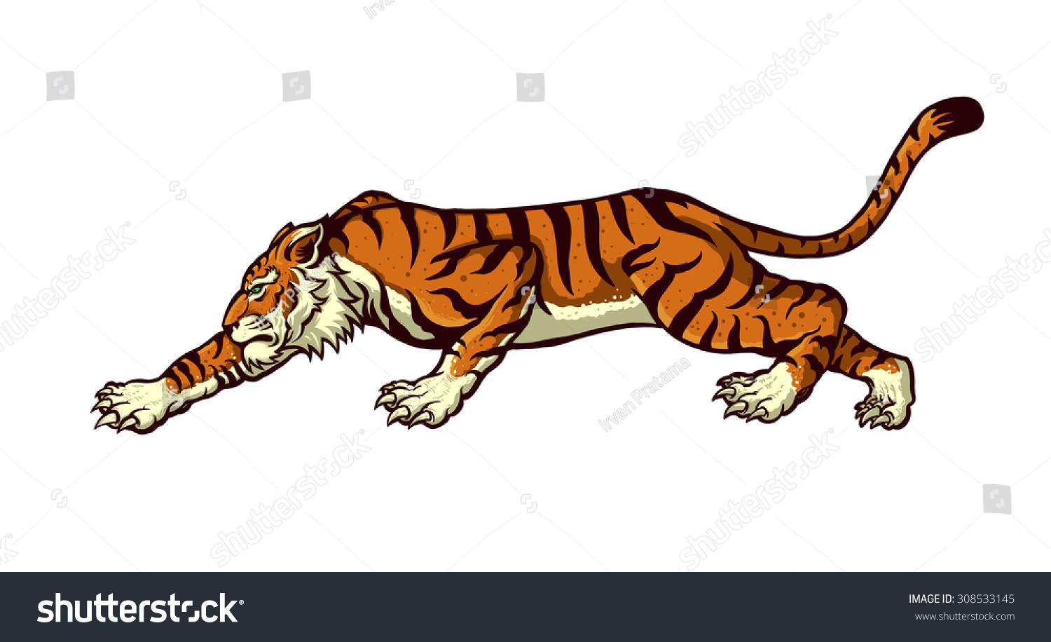 Крадущийся тигр вид сбоку