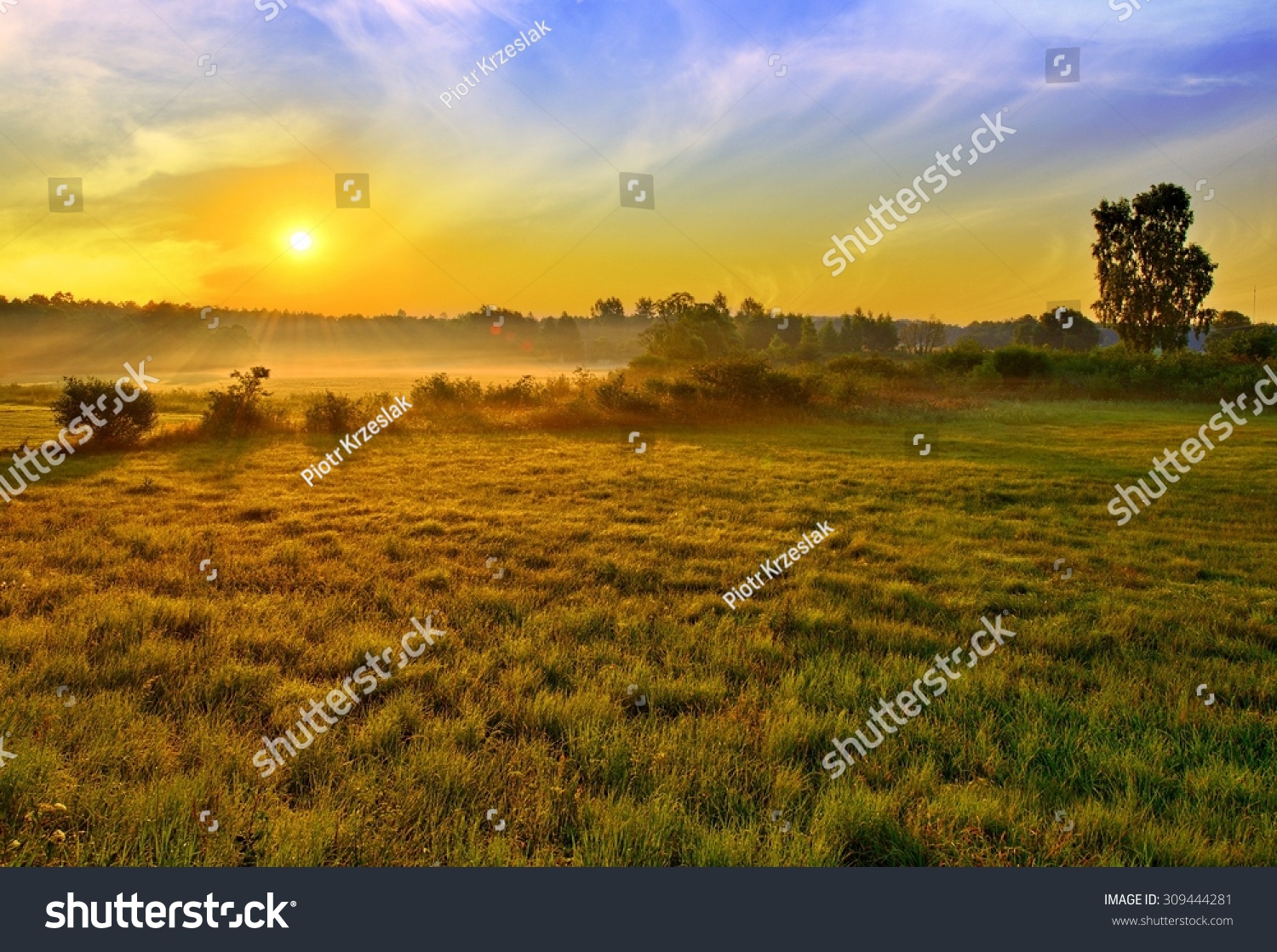 505,940 Evening in the field Images, Stock Photos & Vectors | Shutterstock