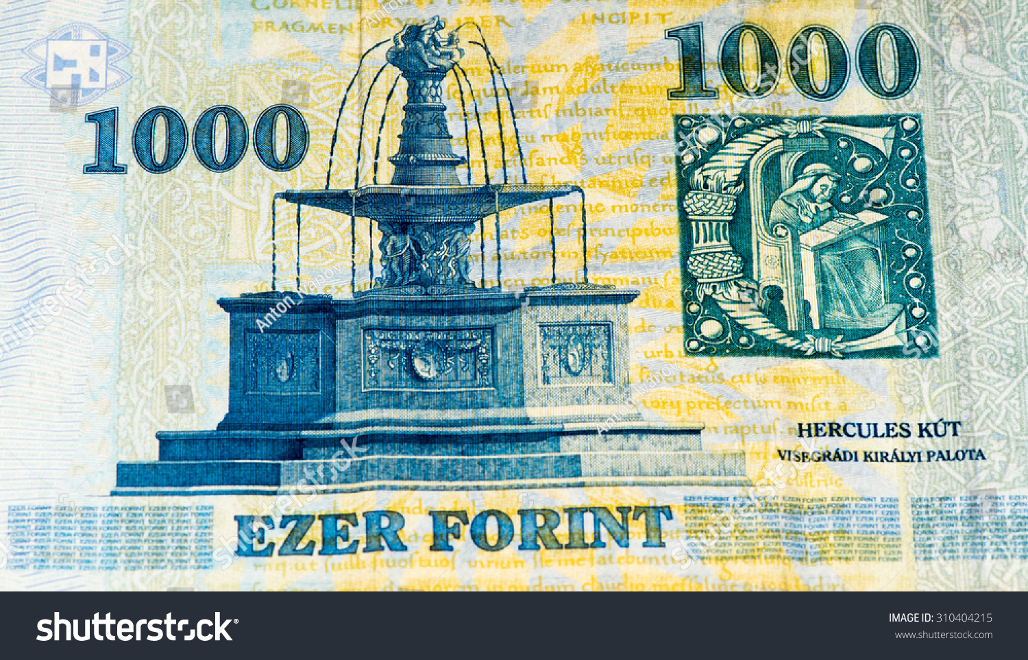 1000 Hungarian Forints Bank Note Hungarian Stock Photo 310404215 1000-hungarian-forints-bank-note-hungarian-stock-photo-310404215