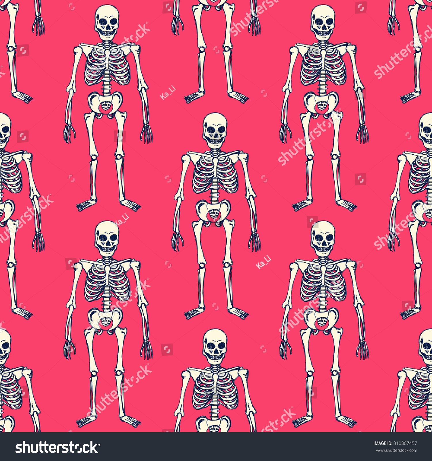 Sketch Skeleton Vintage Style Vector Seamless Stock Vector (Royalty ...