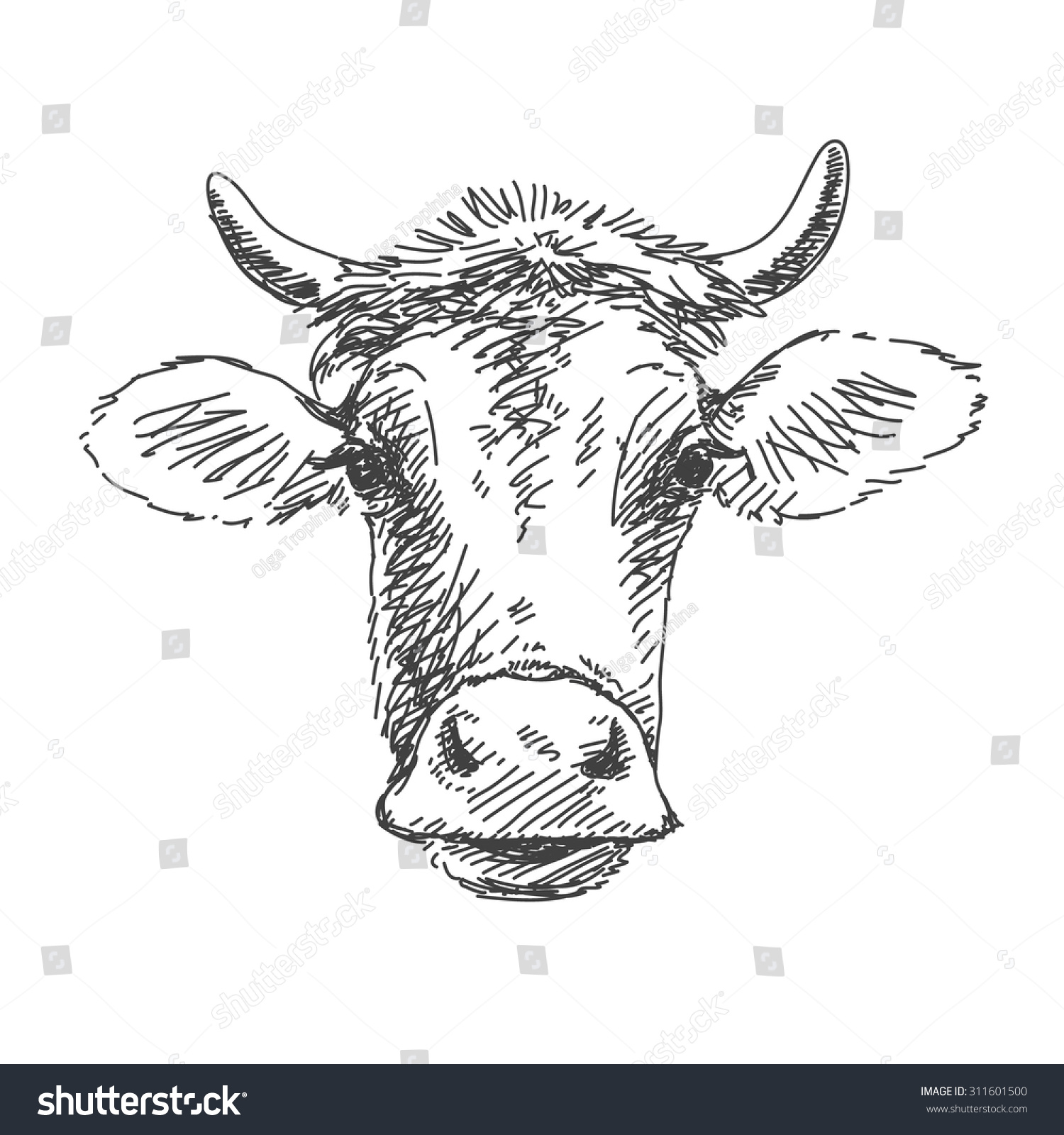 Голова коровы скетч