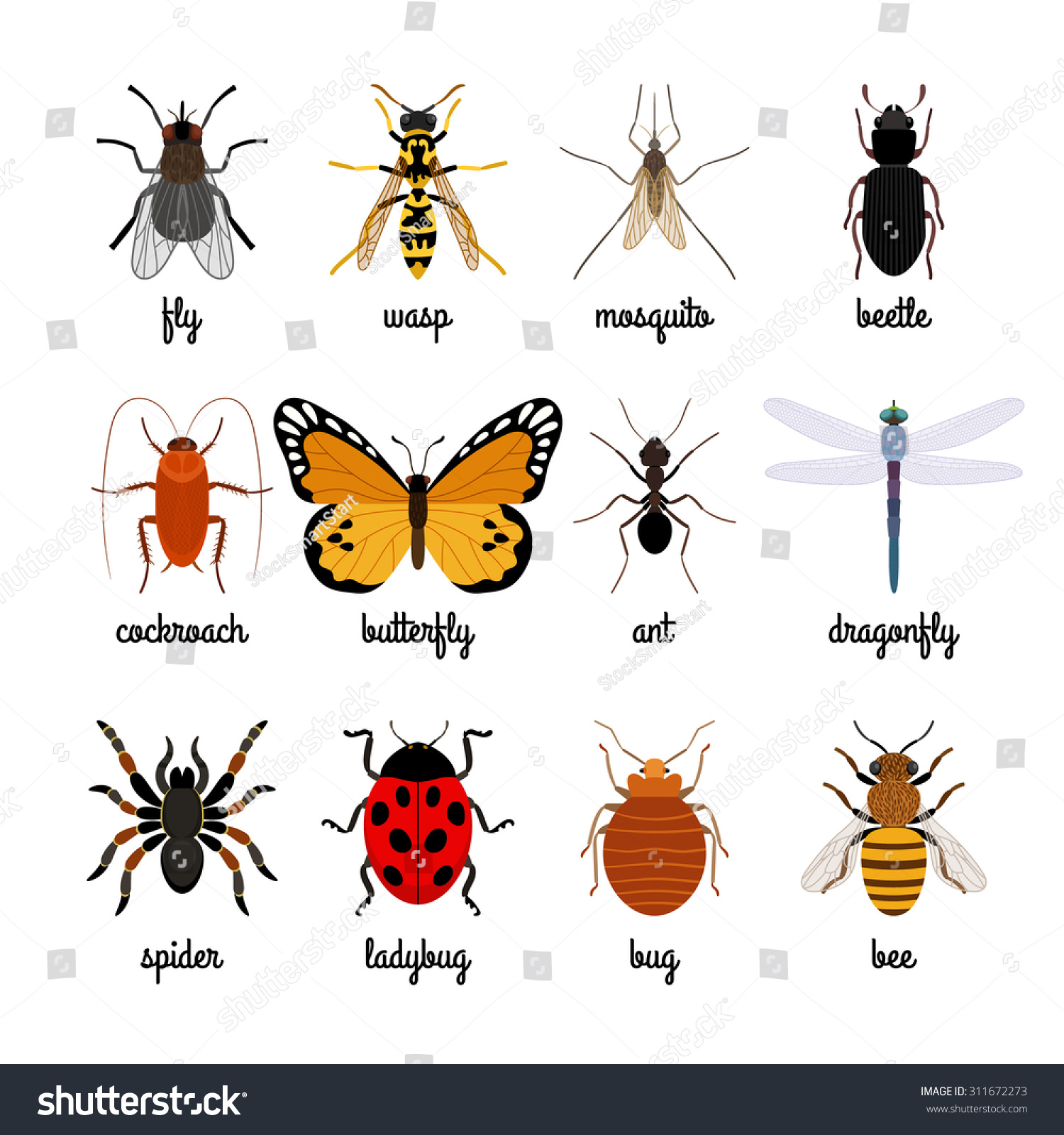Insects Vector Over White Background Insect Stock Vector (Royalty Free ...
