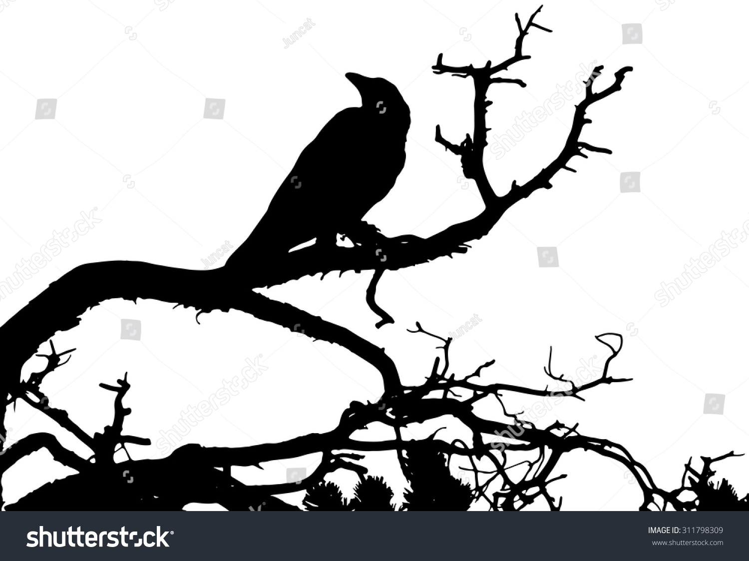 Silhouette Raven Sitting On Tree Vector 스톡 벡터(로열티 프리) 311798309 ...